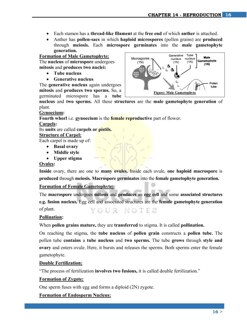 Class 10 Biology Reproduction Solved Notes