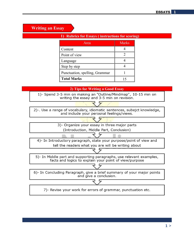 10th Class English Grammar Essays