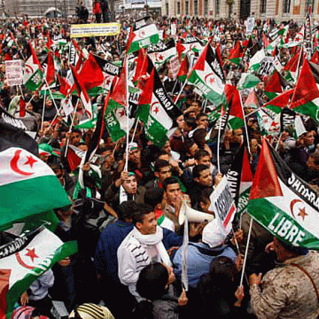 Protestation contre l’occupation marocaine ! | El Watan