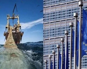 Acuerdo de pesca UE-Marruecos: el POLISARIO califica de operación de auténtico saqueo la ratificación por el PE del acuerdo de pesca | Sahara Press Service