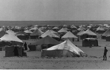 COLUMNA | El día más horroroso de la historia del pueblo saharaui