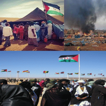 OCTUBRE SAHARAUI – Los tres hechos que hicieron morder el polvo a Marruecos y demostraron que la voluntad de los saharauis es inquebrantable: Día Nacional de la Jaima Saharaui – Aniversario de Gdeim Izik, el campamento de la resistencia saharaui – Día de la Unidad Nacional | Sahara Press Service