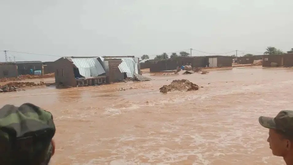 urgente llamamiento humanitario tras devastadoras inundaciones en campamentos de refugiados saharauis