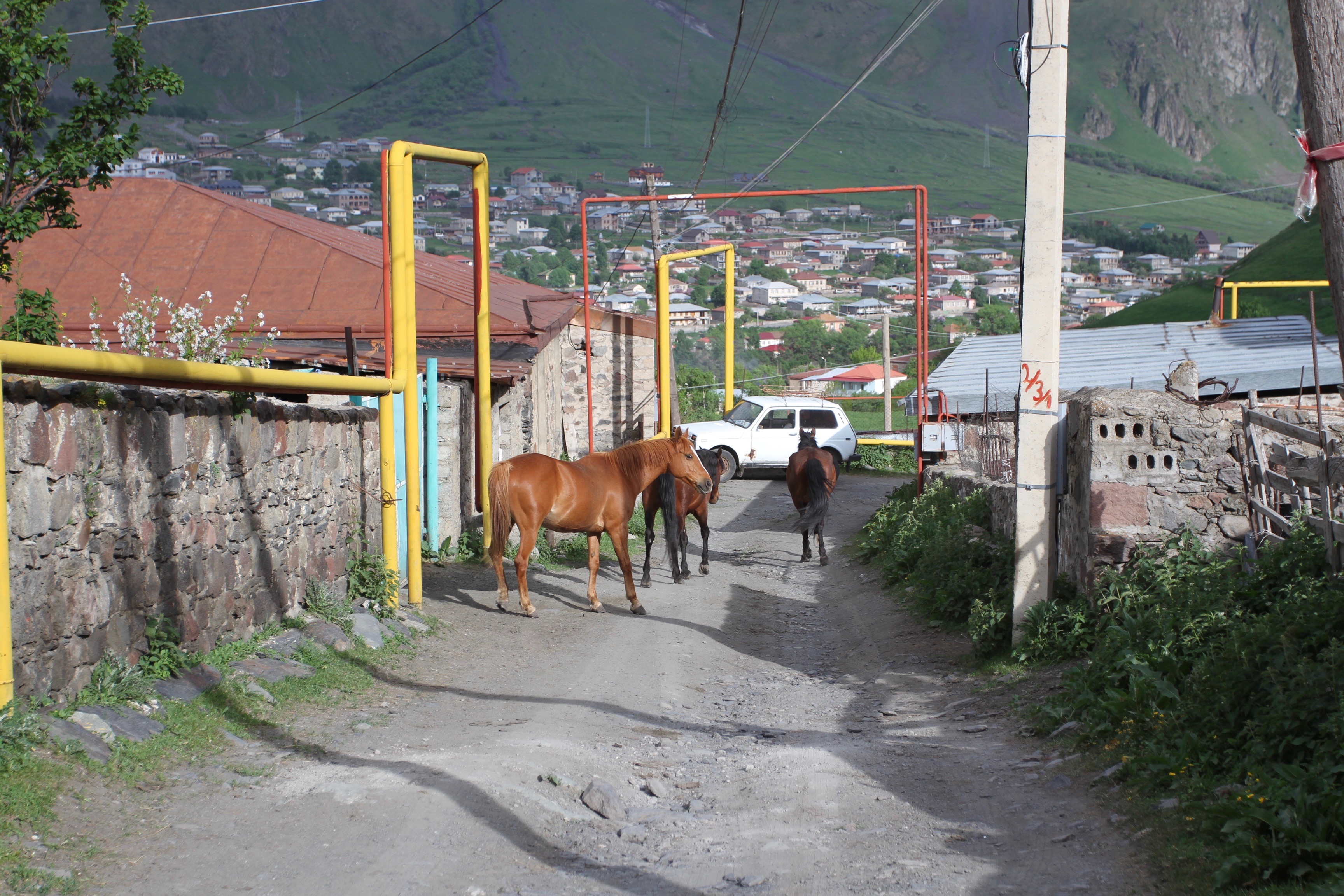 Stepantsminda, Kazbegi region, Caucasus mountains, Georgia