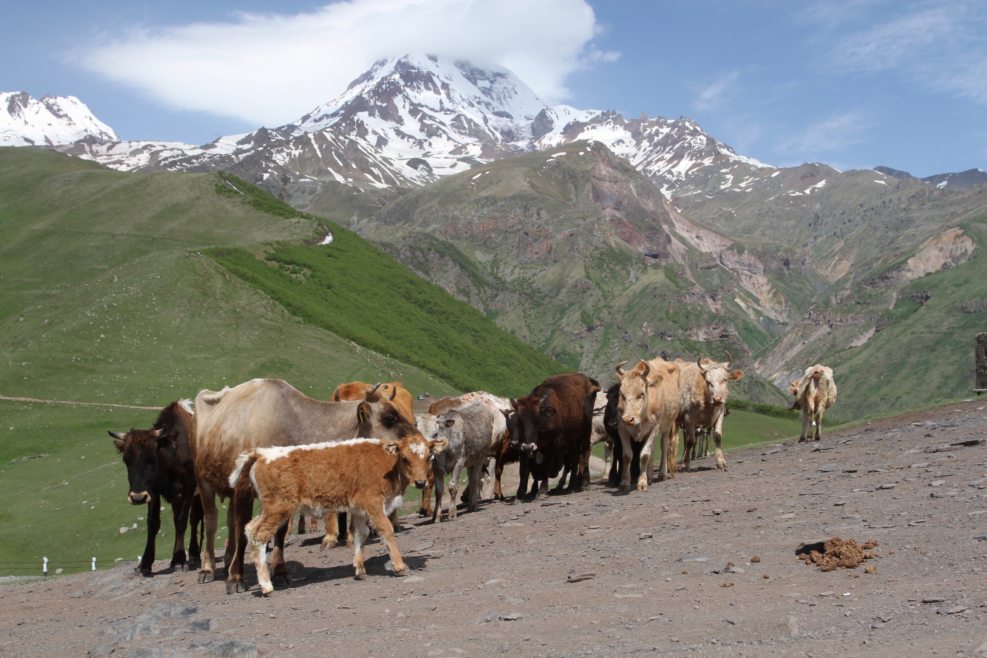 Stepantsminda, Kazbegi region, Caucasus mountains, Georgia
