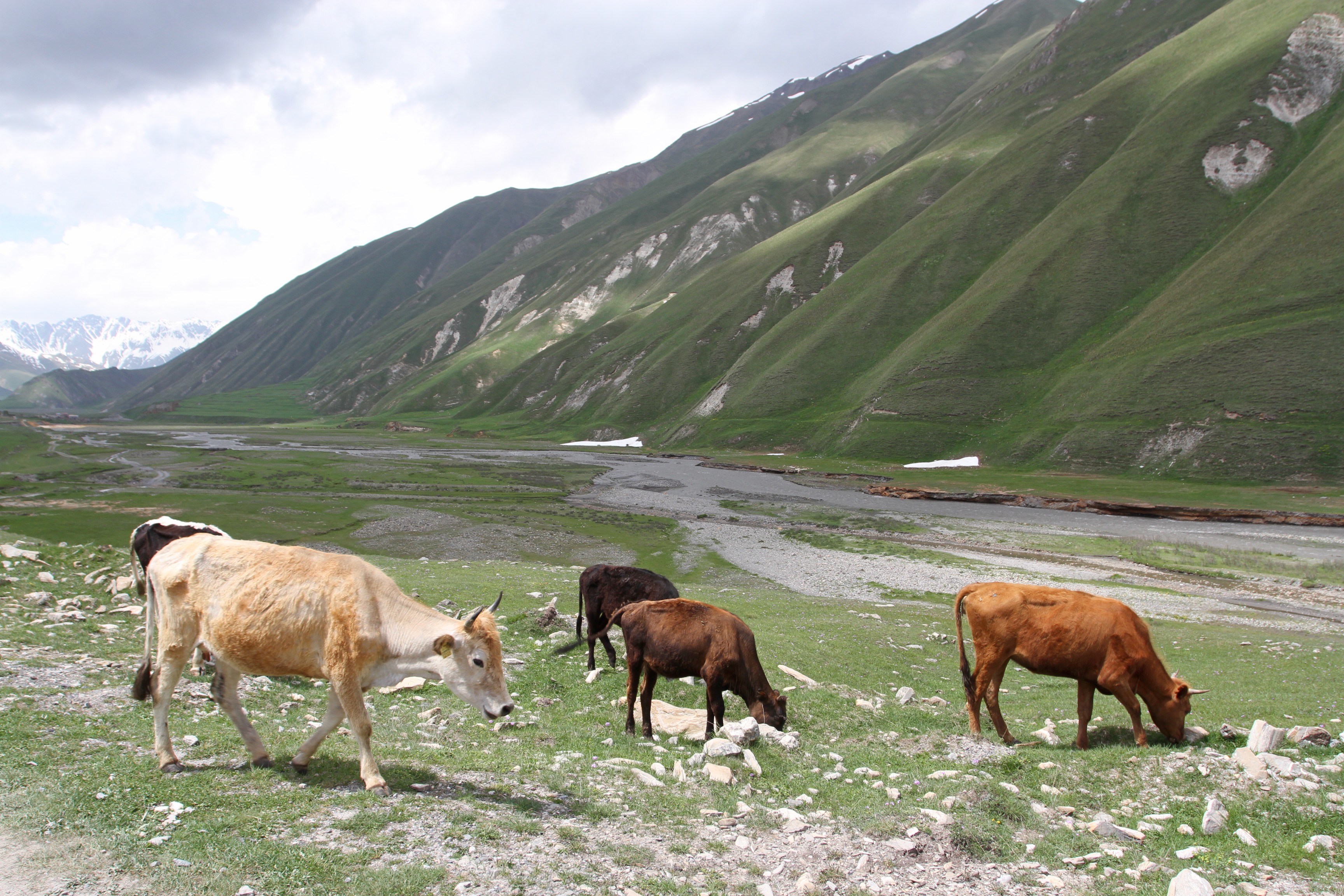 Truso Valley, Kazbegi, Georgia