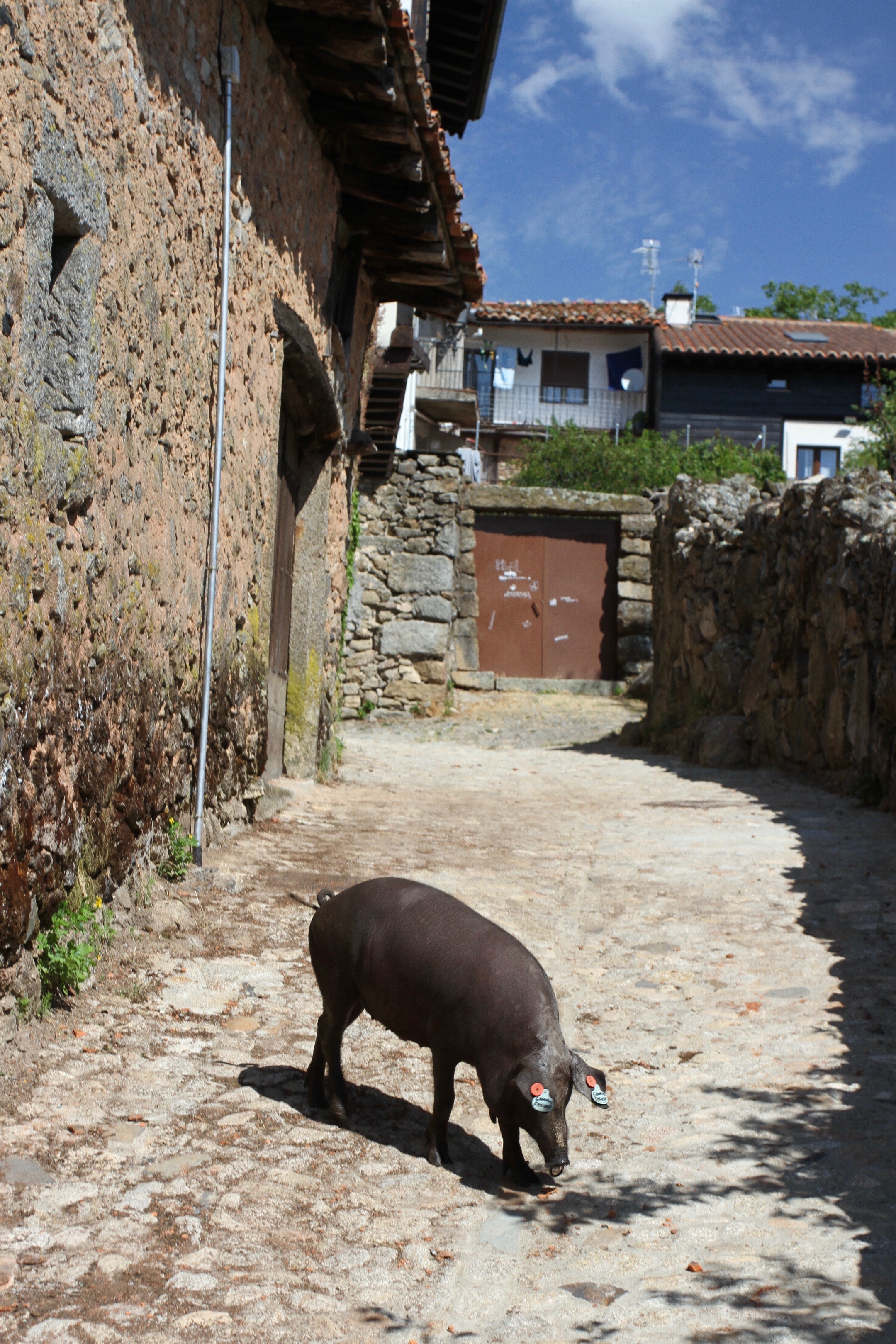 Sierra de Francia, Castilla y Leon