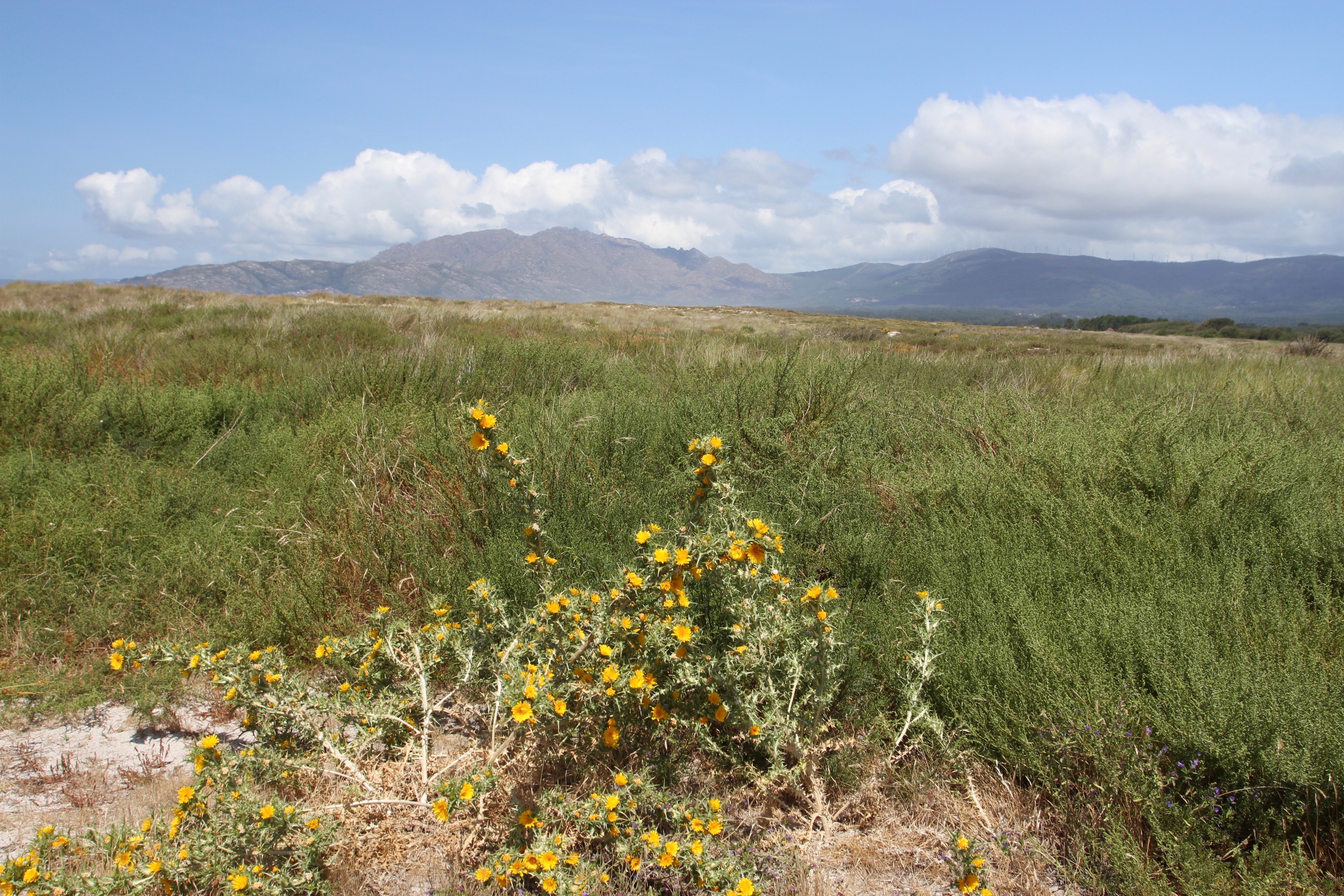 Carnota, Costa da Morte, Galicia, Spain