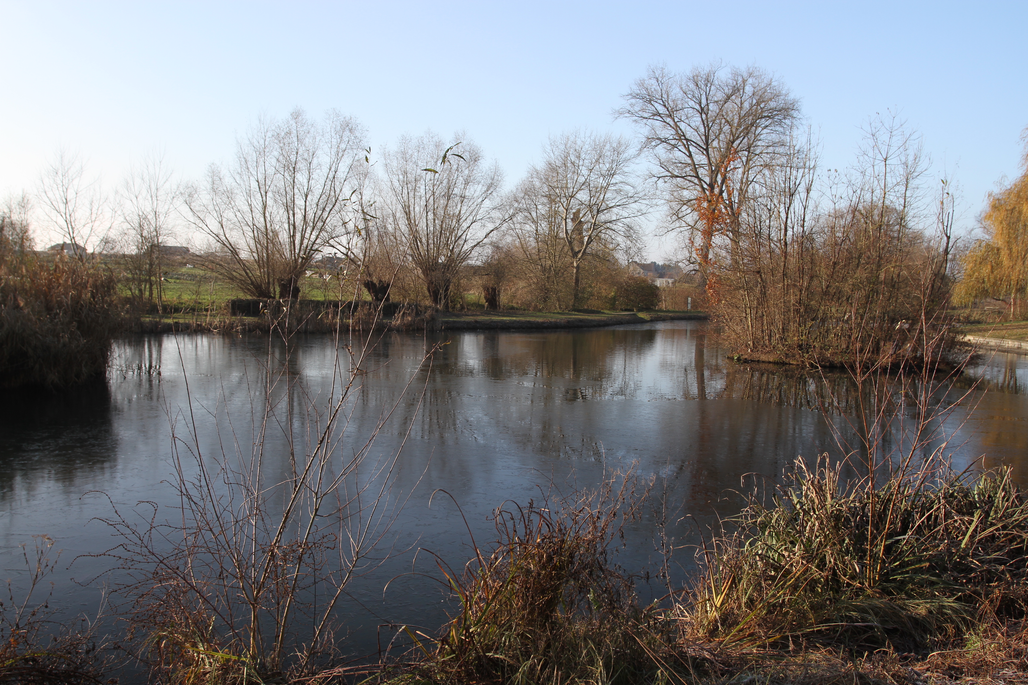 Vogelenzang Nature Reserve, Green Ring, Brussels, Belgium