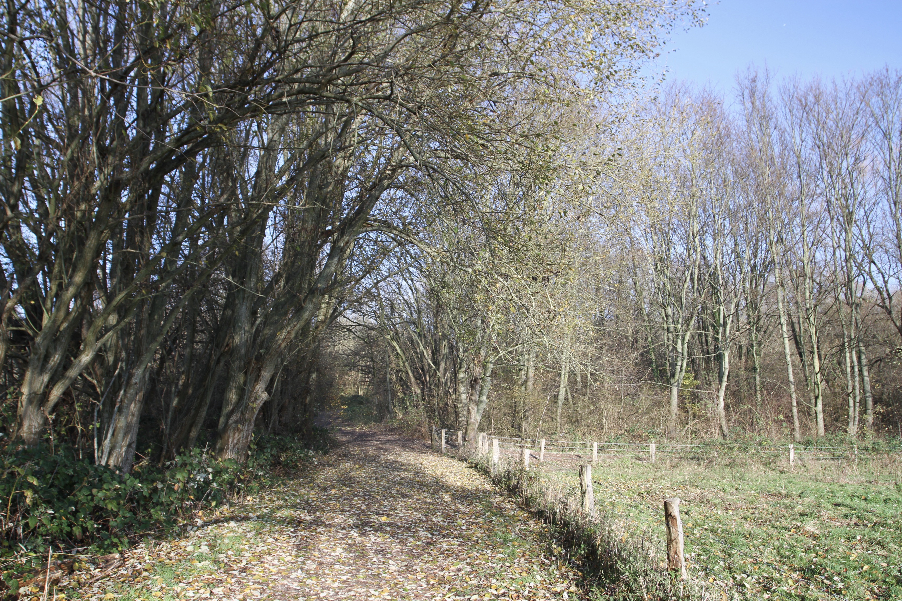 Green Ring, Brussels, Belgium