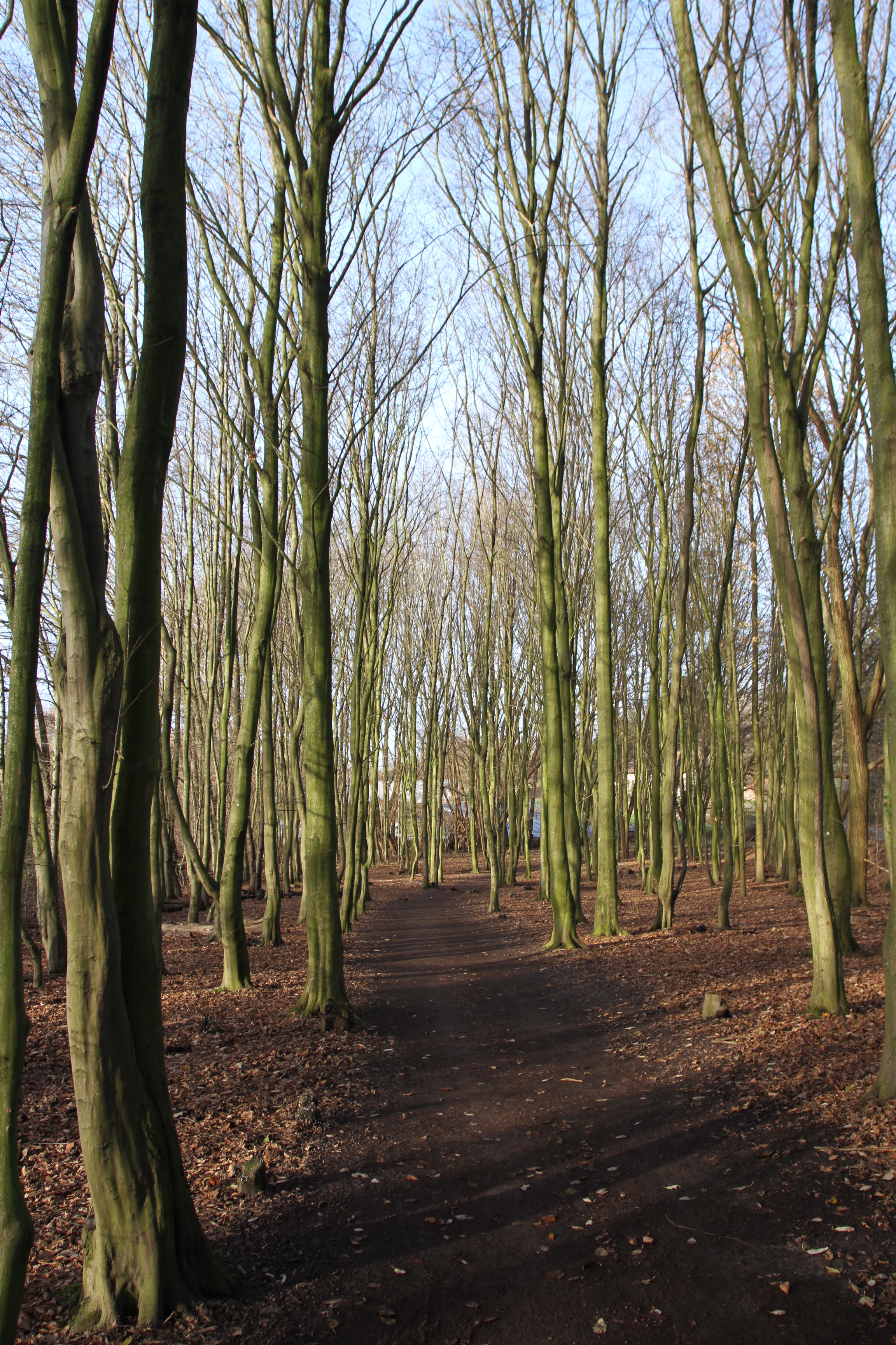 Molenbeek Valley, Green Ring, Brussels, Belgium