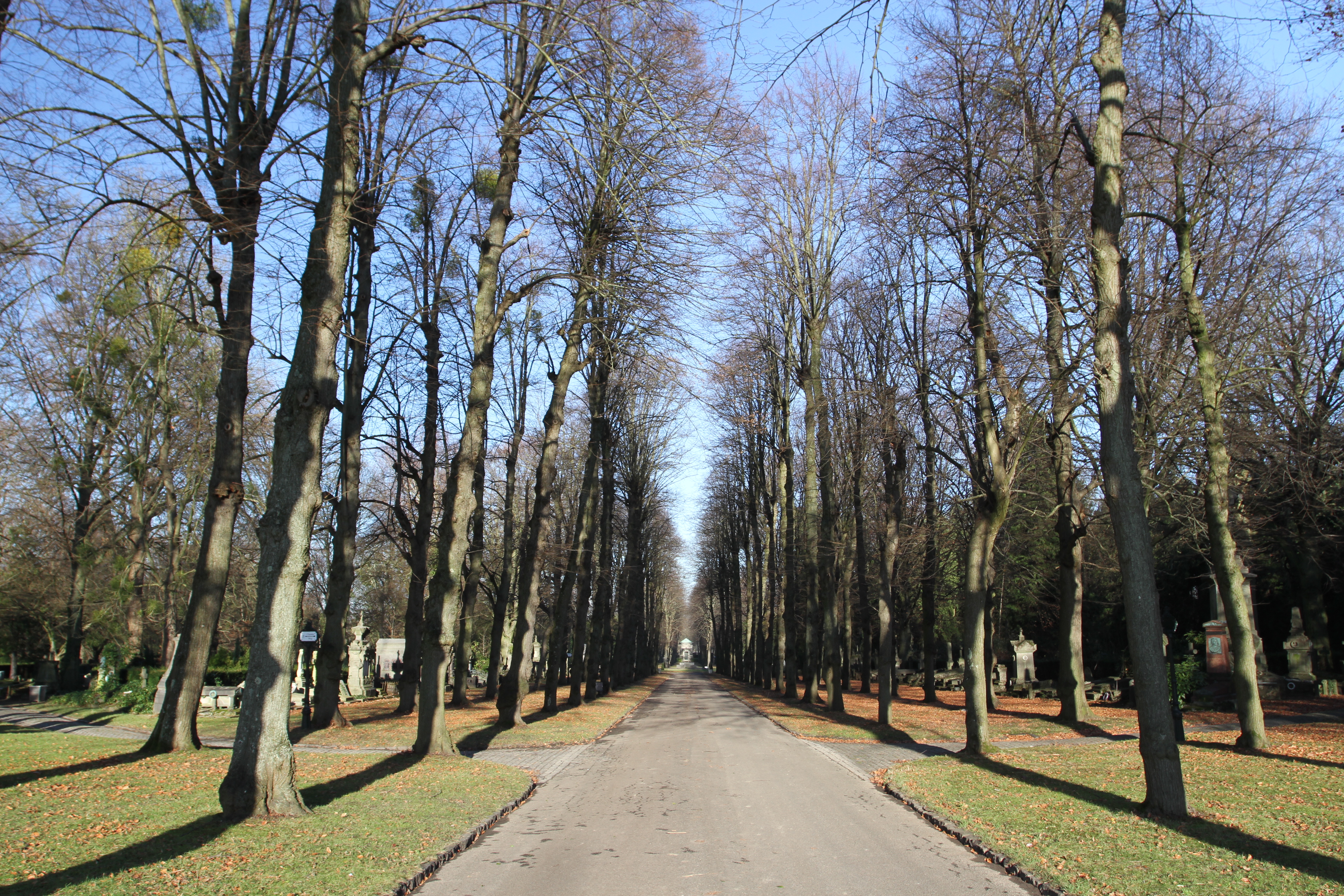 Brussels Cemetery, Evere, Brussels, Belgium