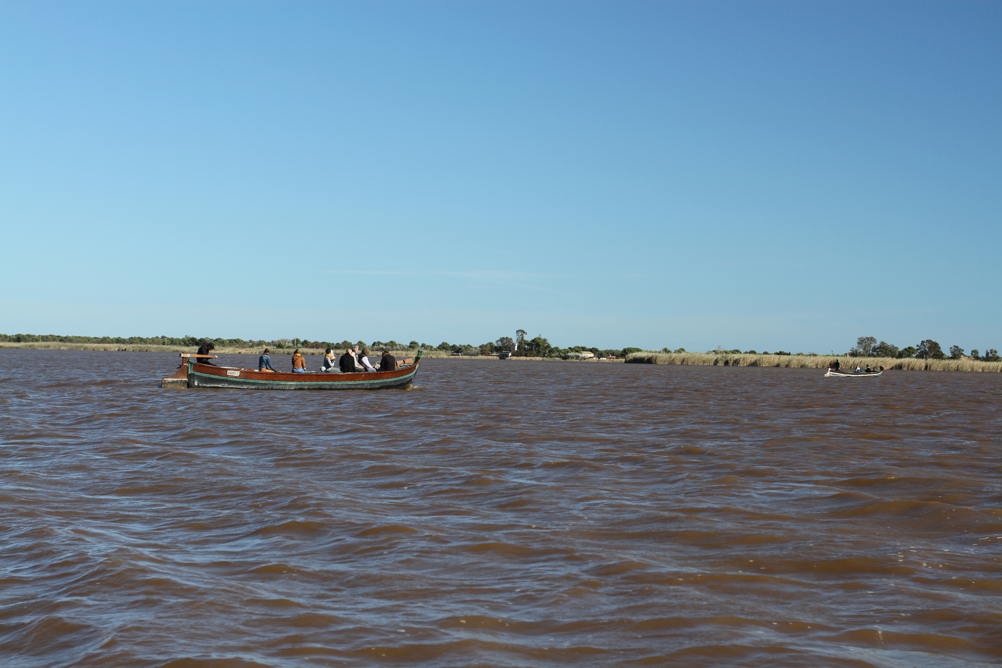Albufera National Park, El Palmar, Valencia, Spain
