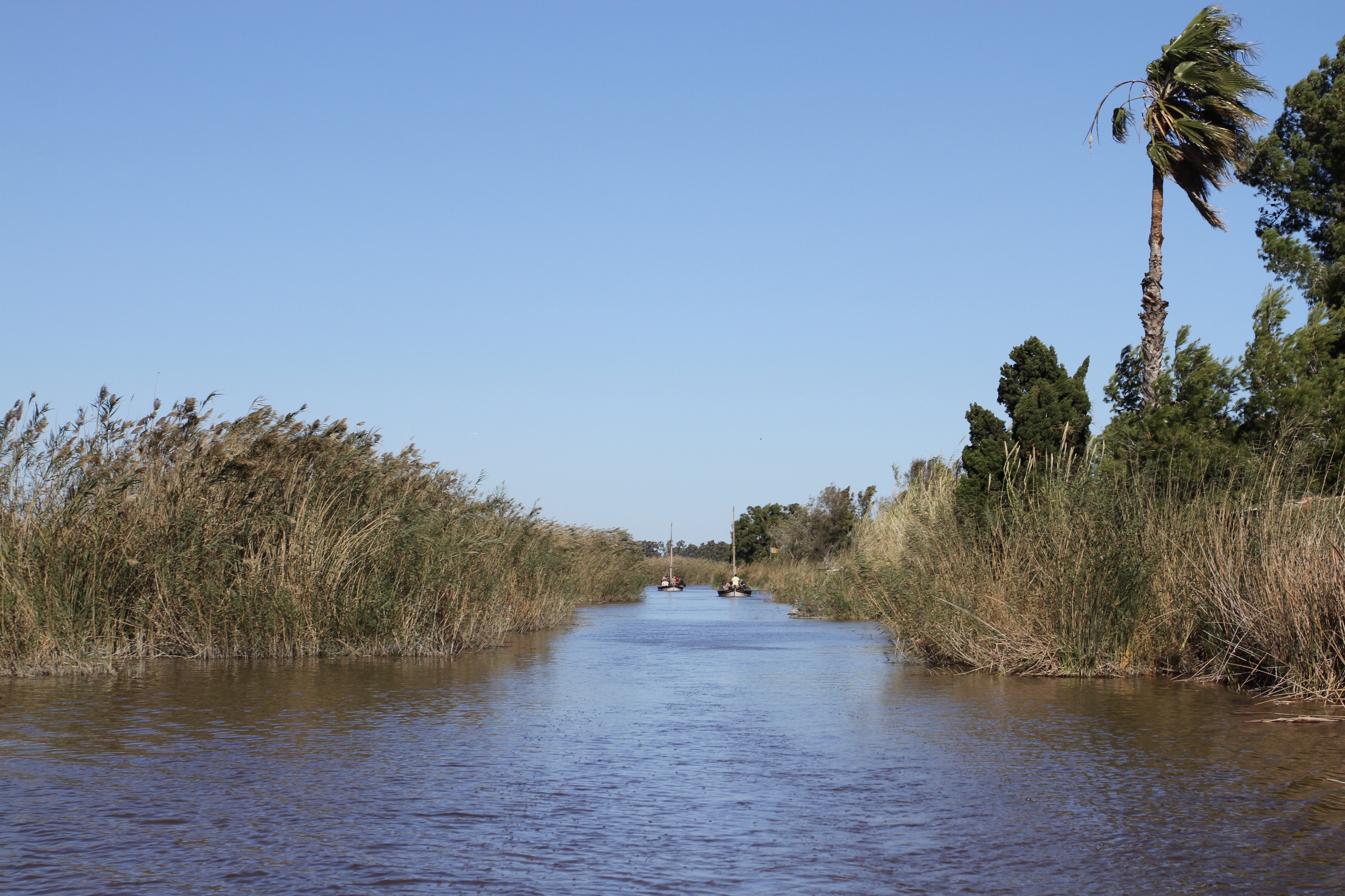 Albufera National Park, El Palmar, Valencia, Spain