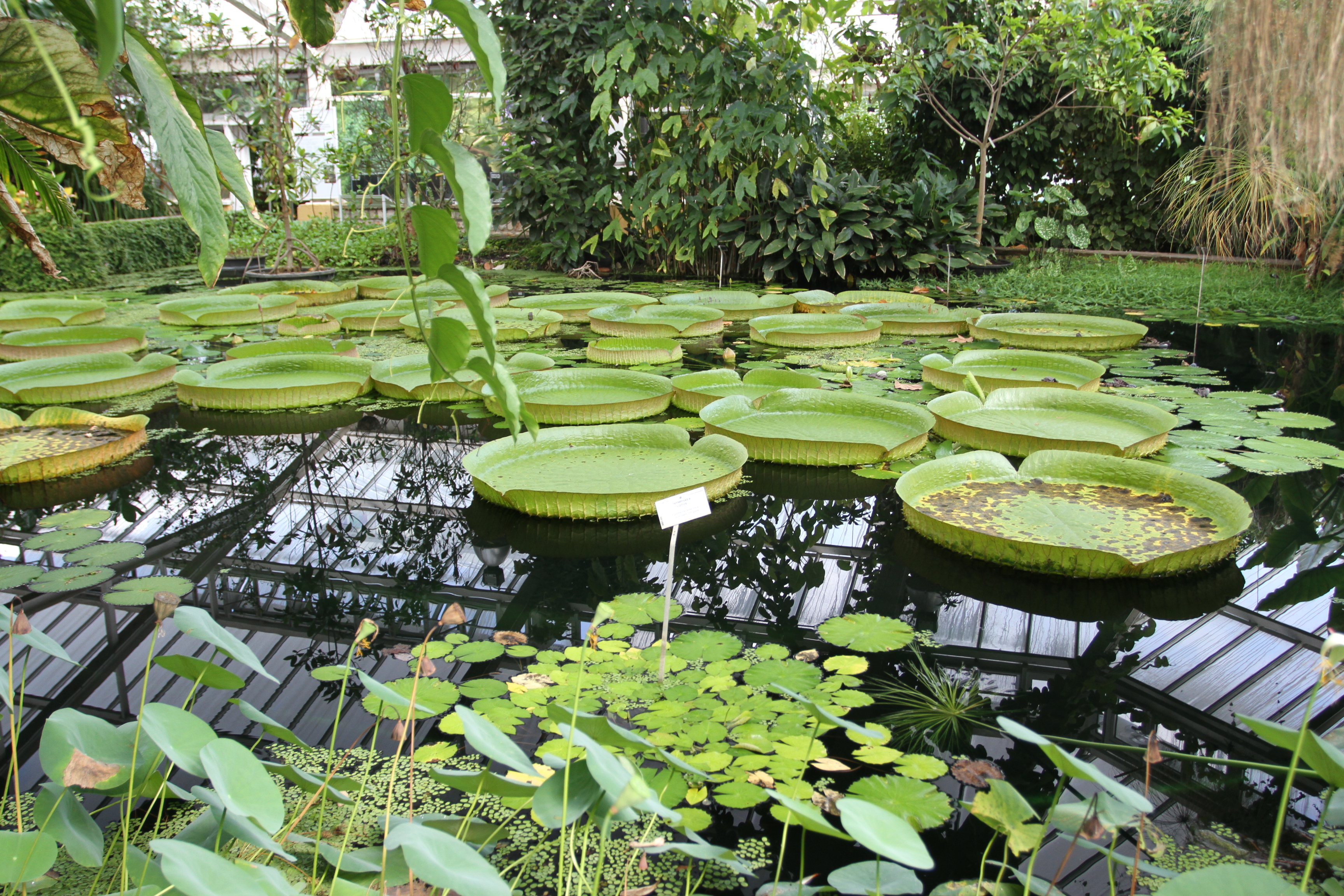 Greenhouses, National Botanic Garden, Meise, Brussels, Belgium