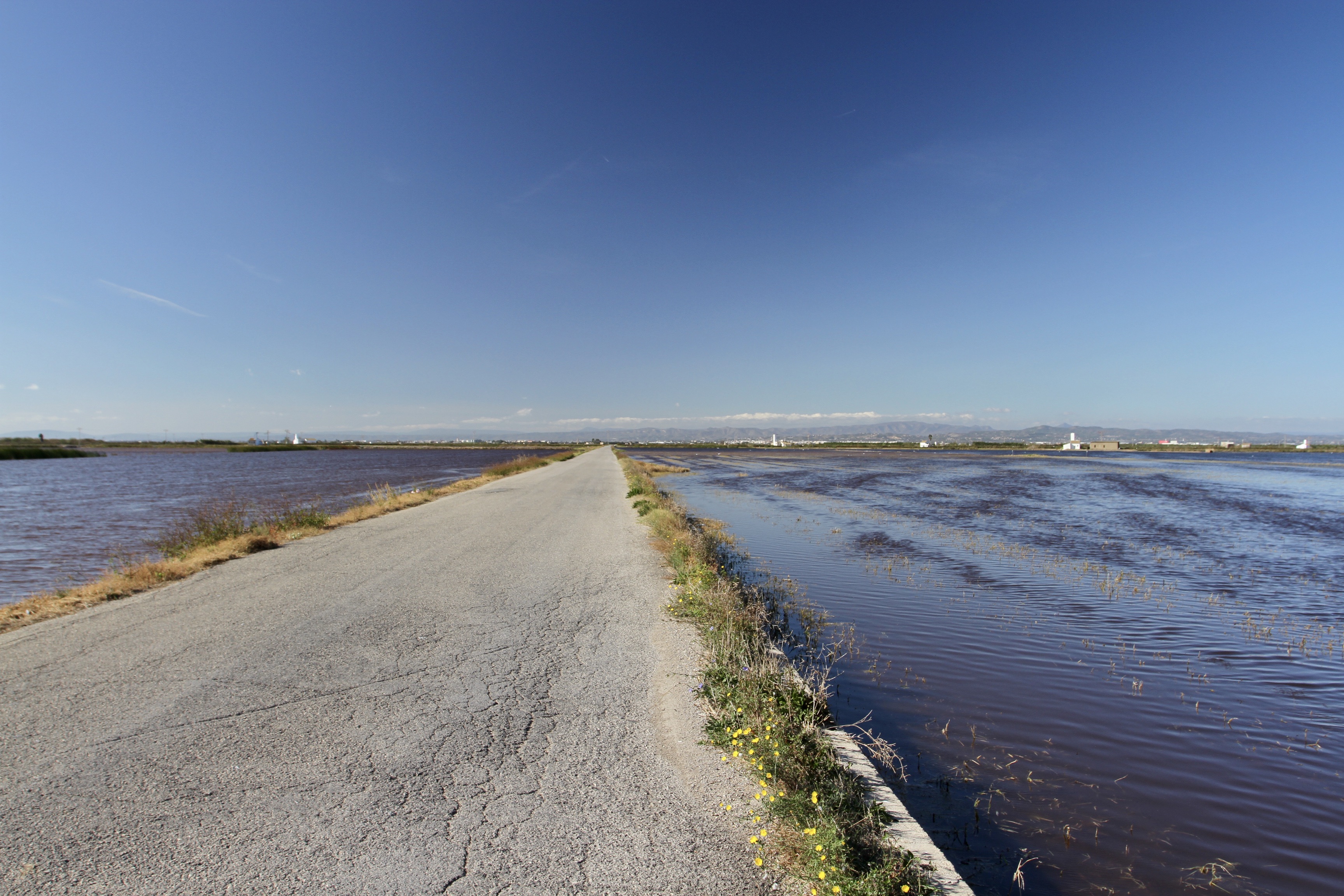 Albufera National Park, El Palmar, Valencia, Spain