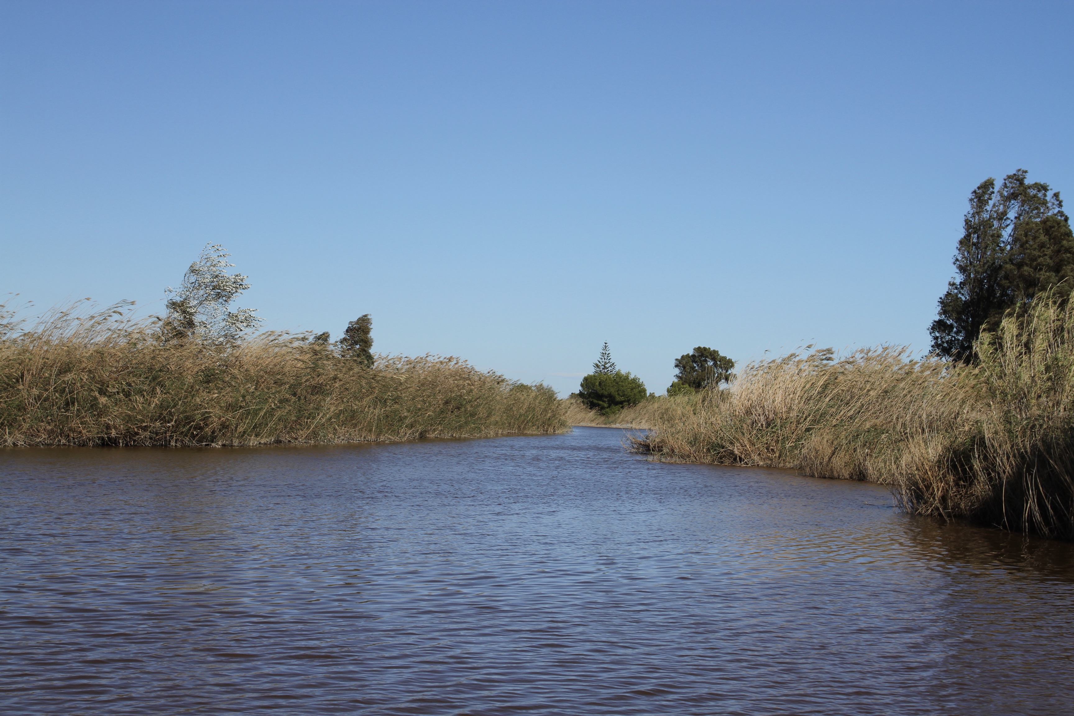 Albufera National Park, El Palmar, Valencia, Spain