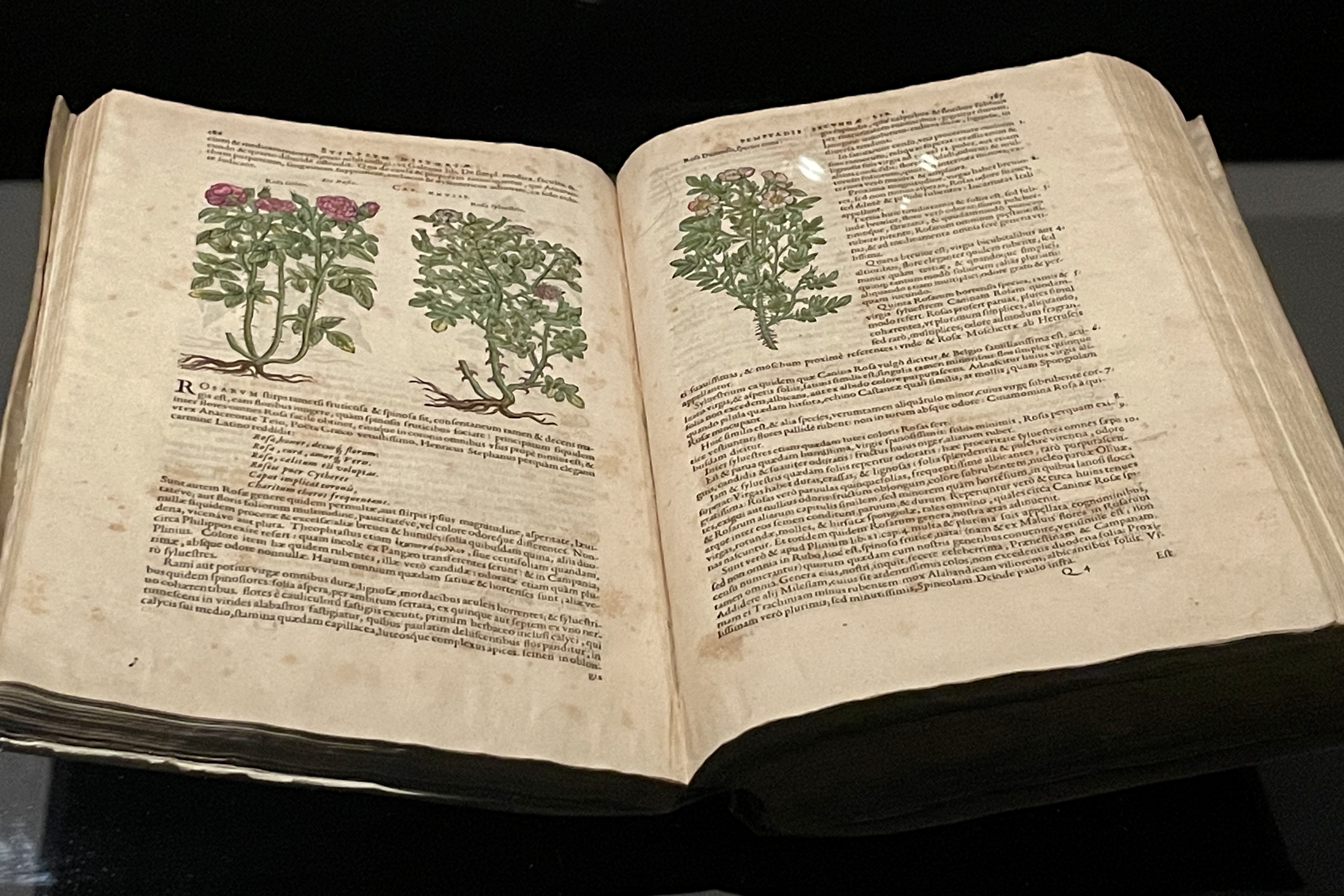 Museum Plantin-Moretus, Antwerp, Belgium