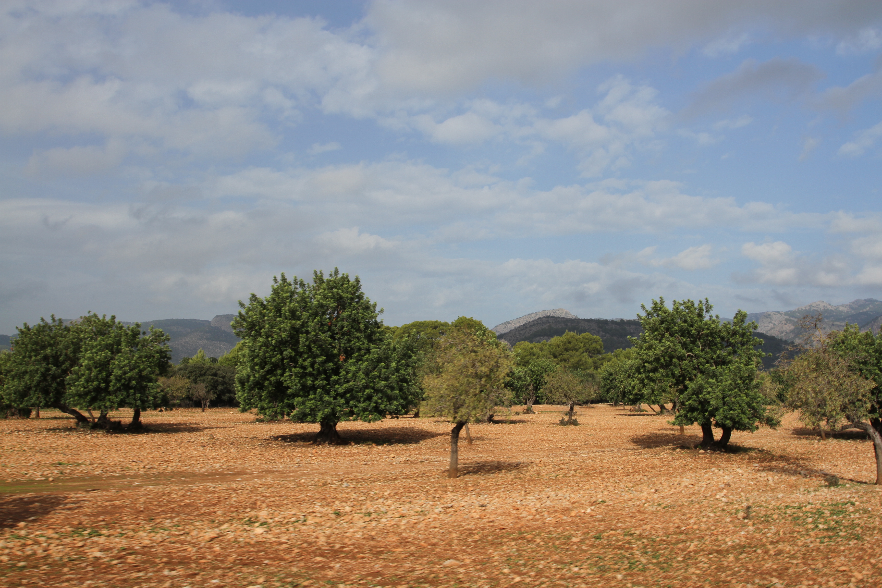 Train journey to Soller, Mallorca, Spain