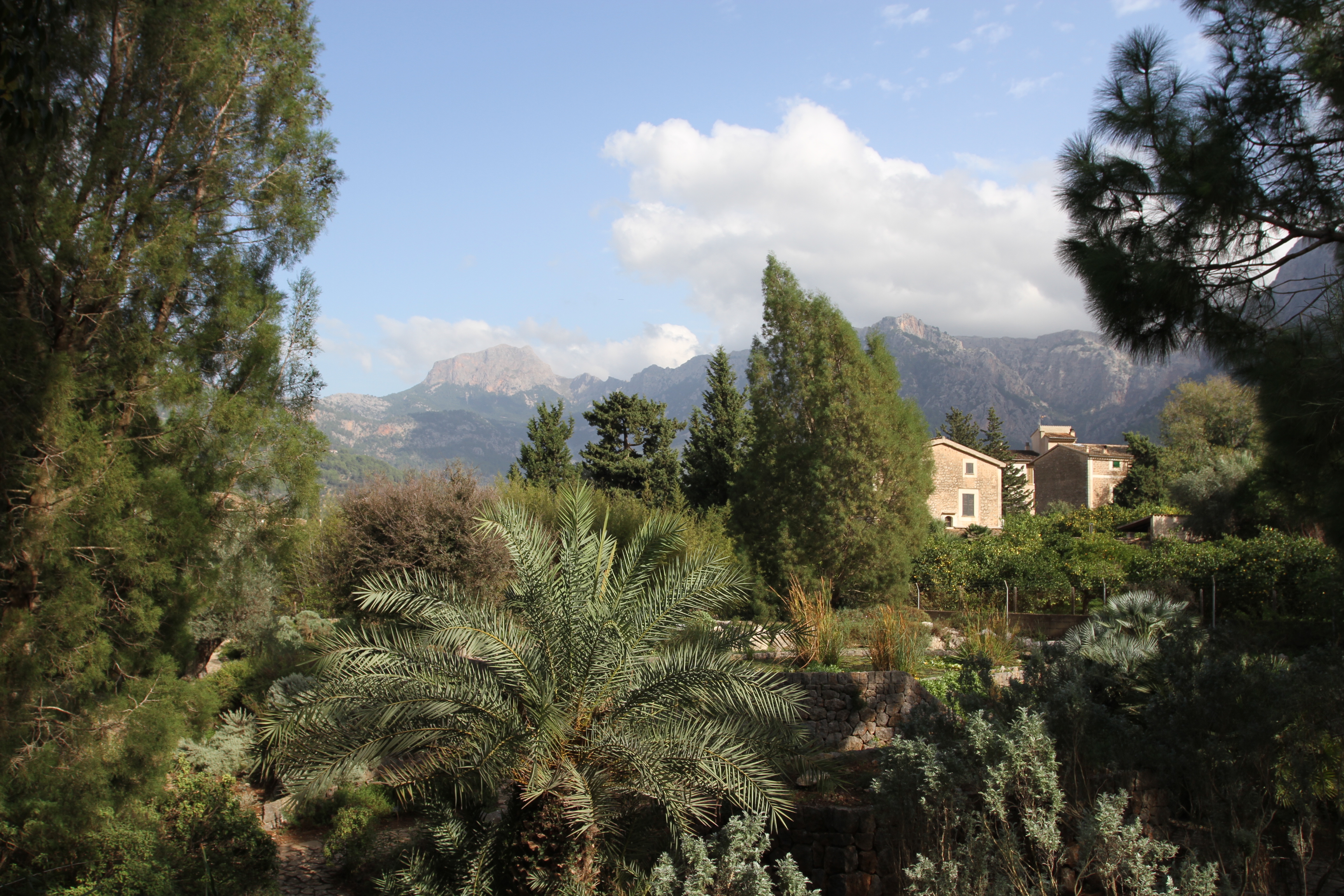 Botanical gardens, Soller, Mallorca, Spain