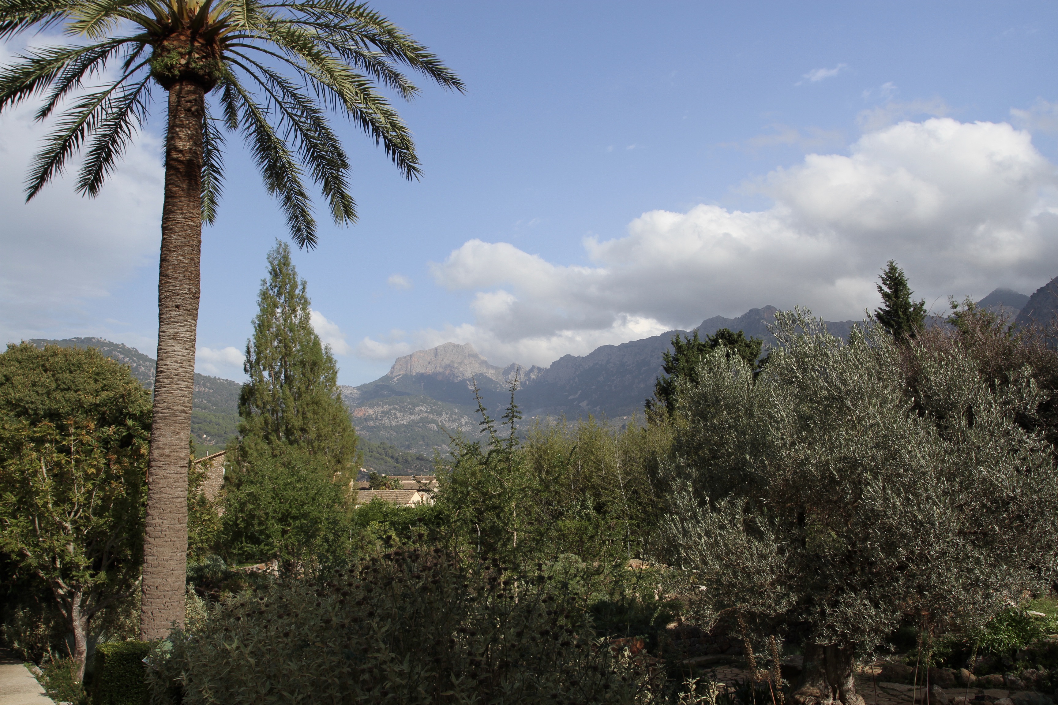 Botanical gardens, Soller, Mallorca, Spain