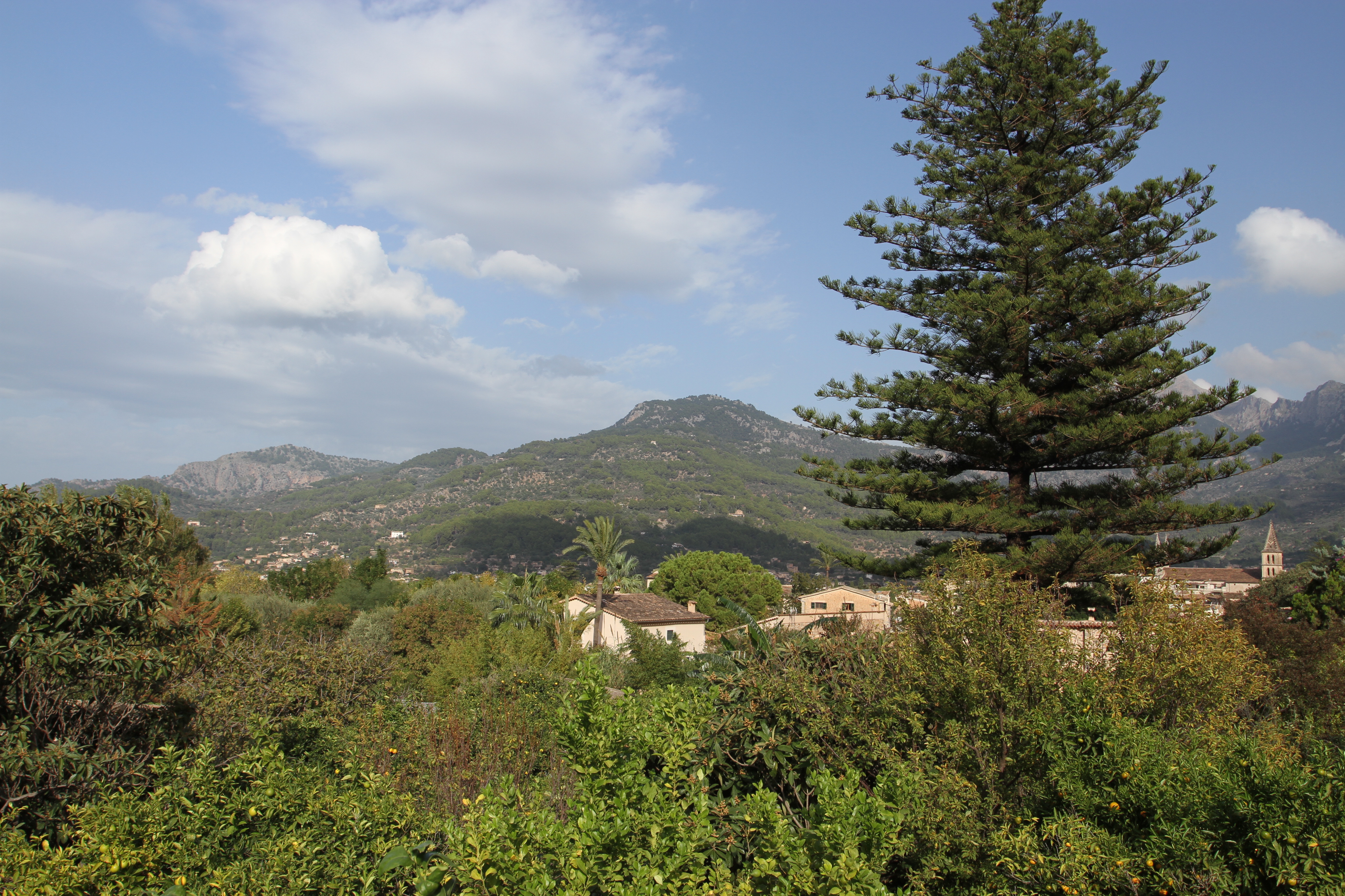 Soller, Mallorca, Spain