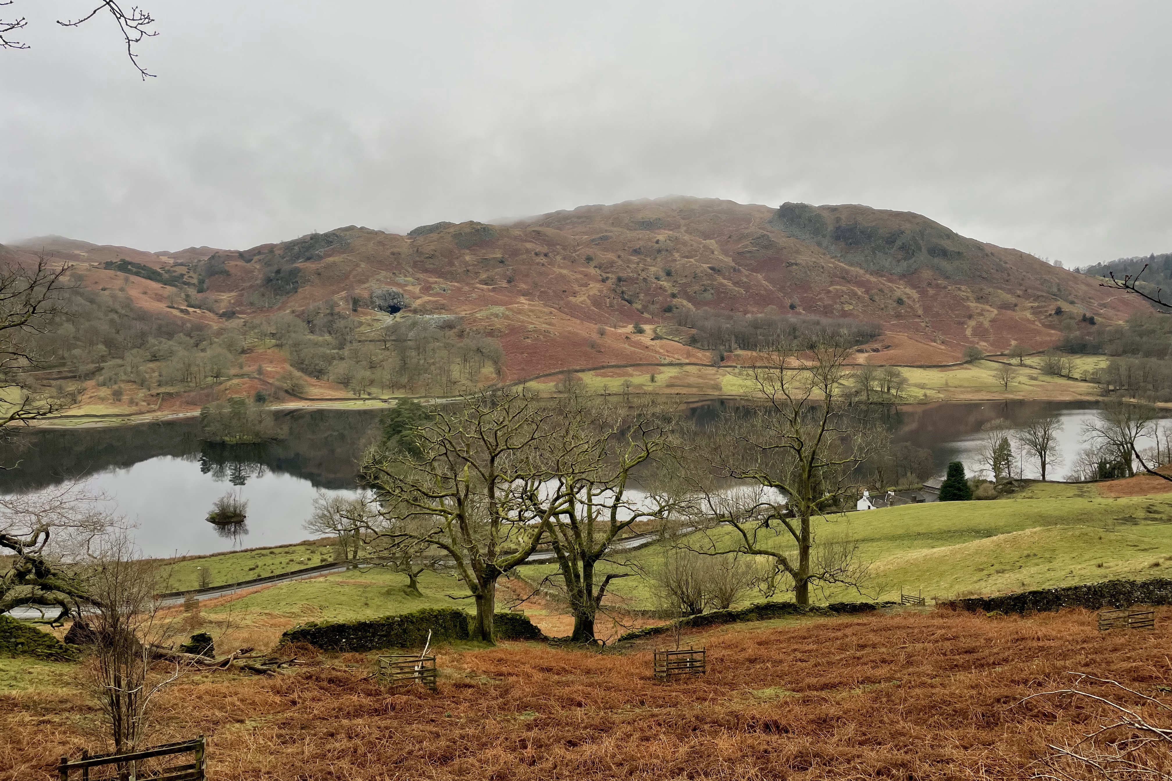 Rydal Water and Loughrigg Fell, Lake District, England
