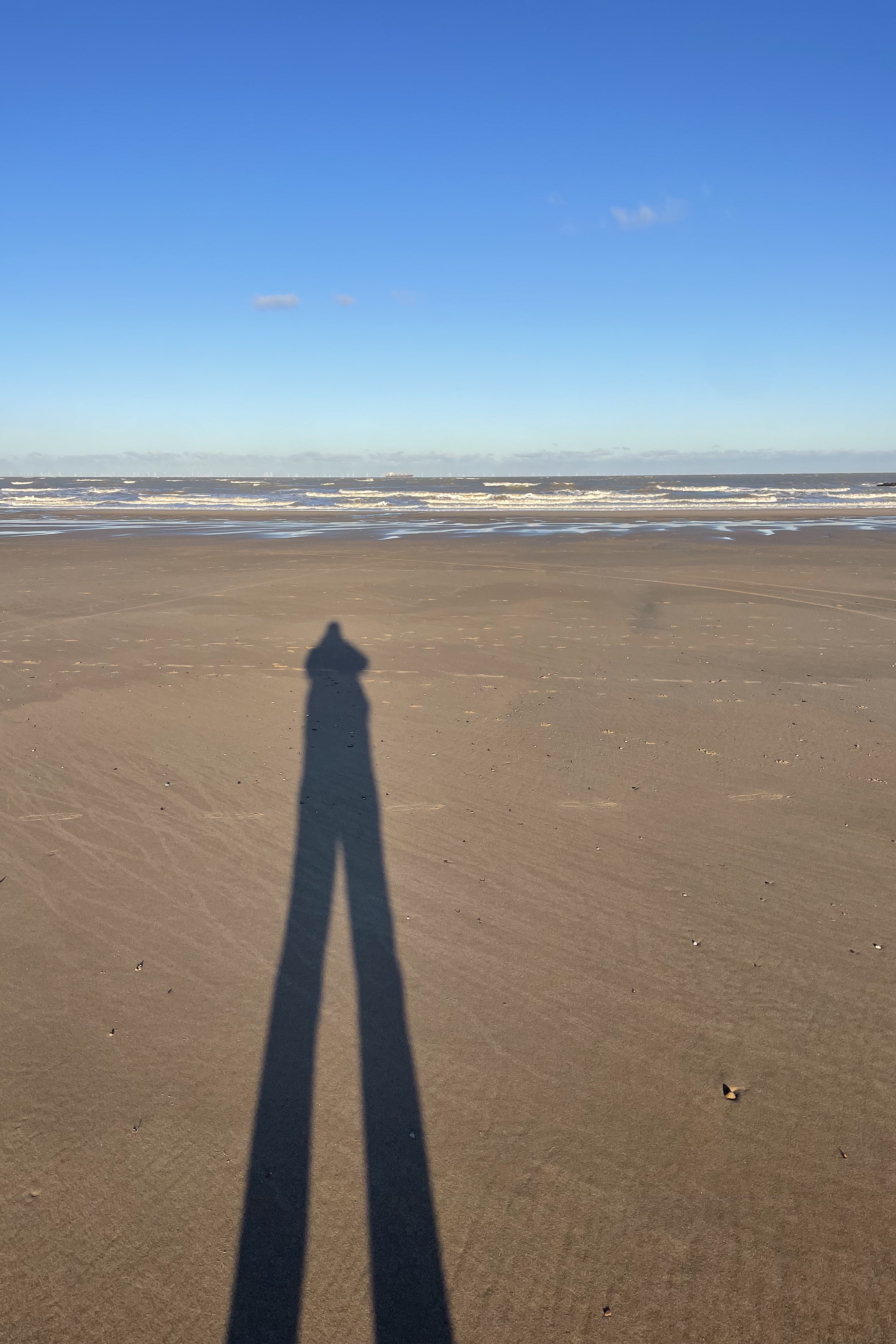 Beaufort Sculpture Park, Flemish coast, Belgium