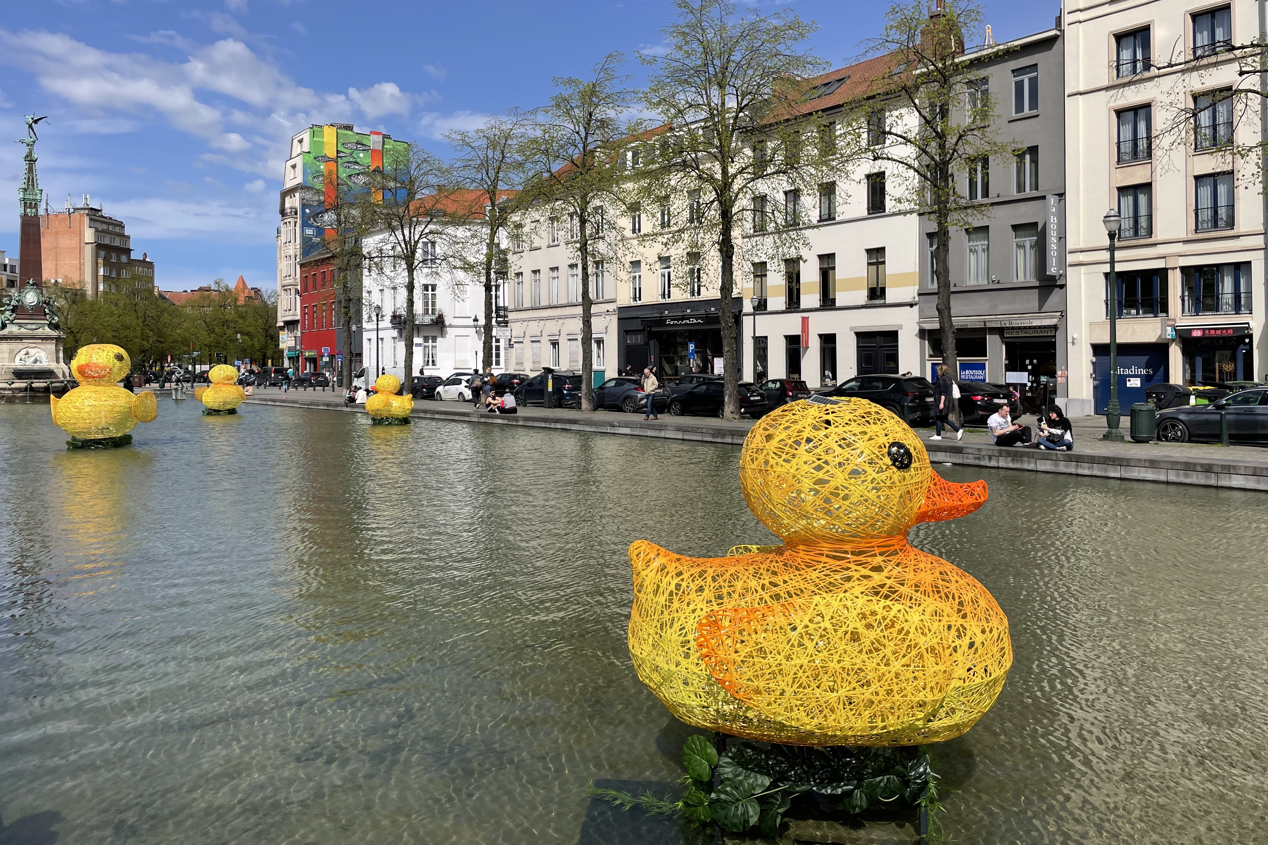 Duck invasion, Brussels, Belgium