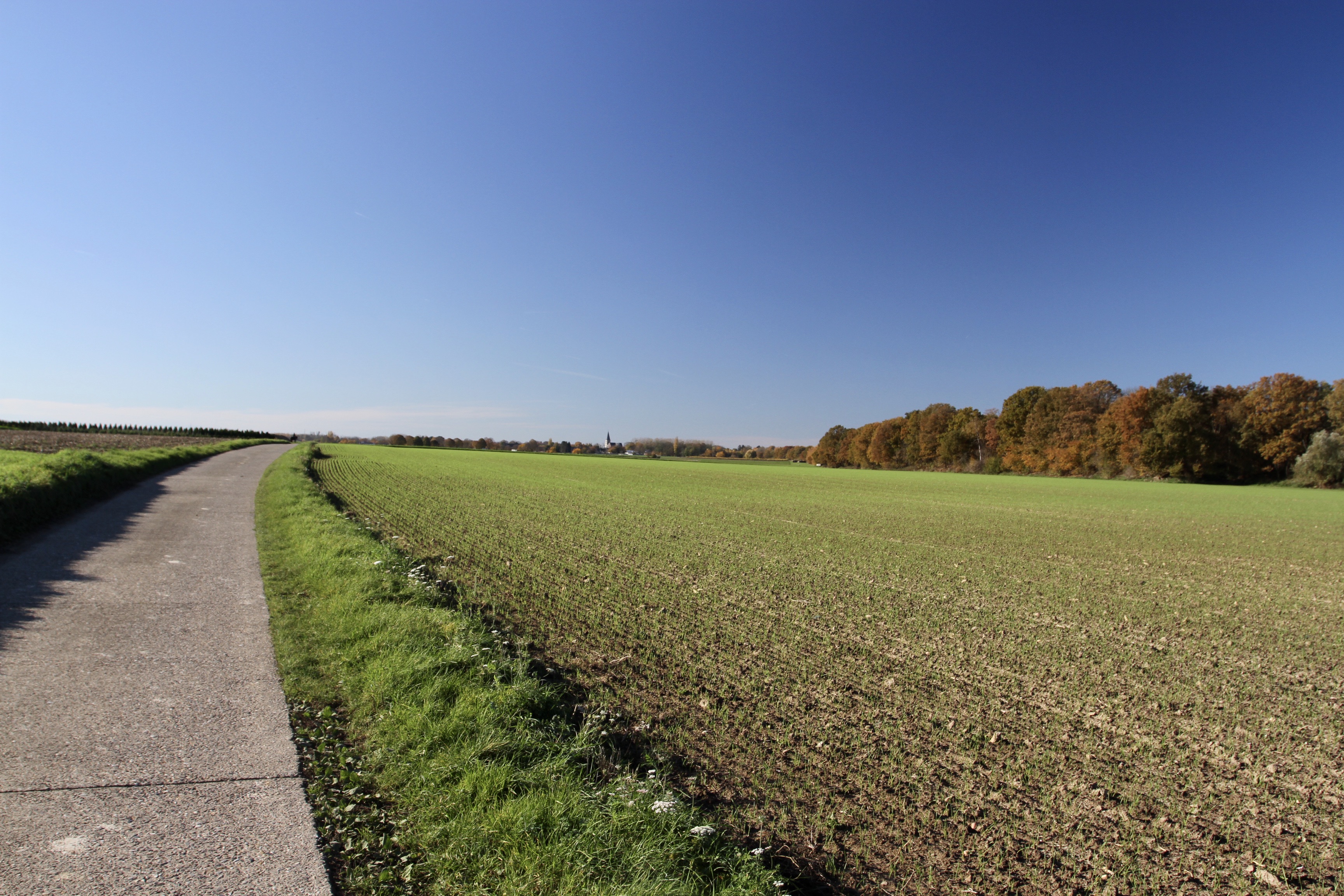 Cycling in Limburg, Flanders, Belgium