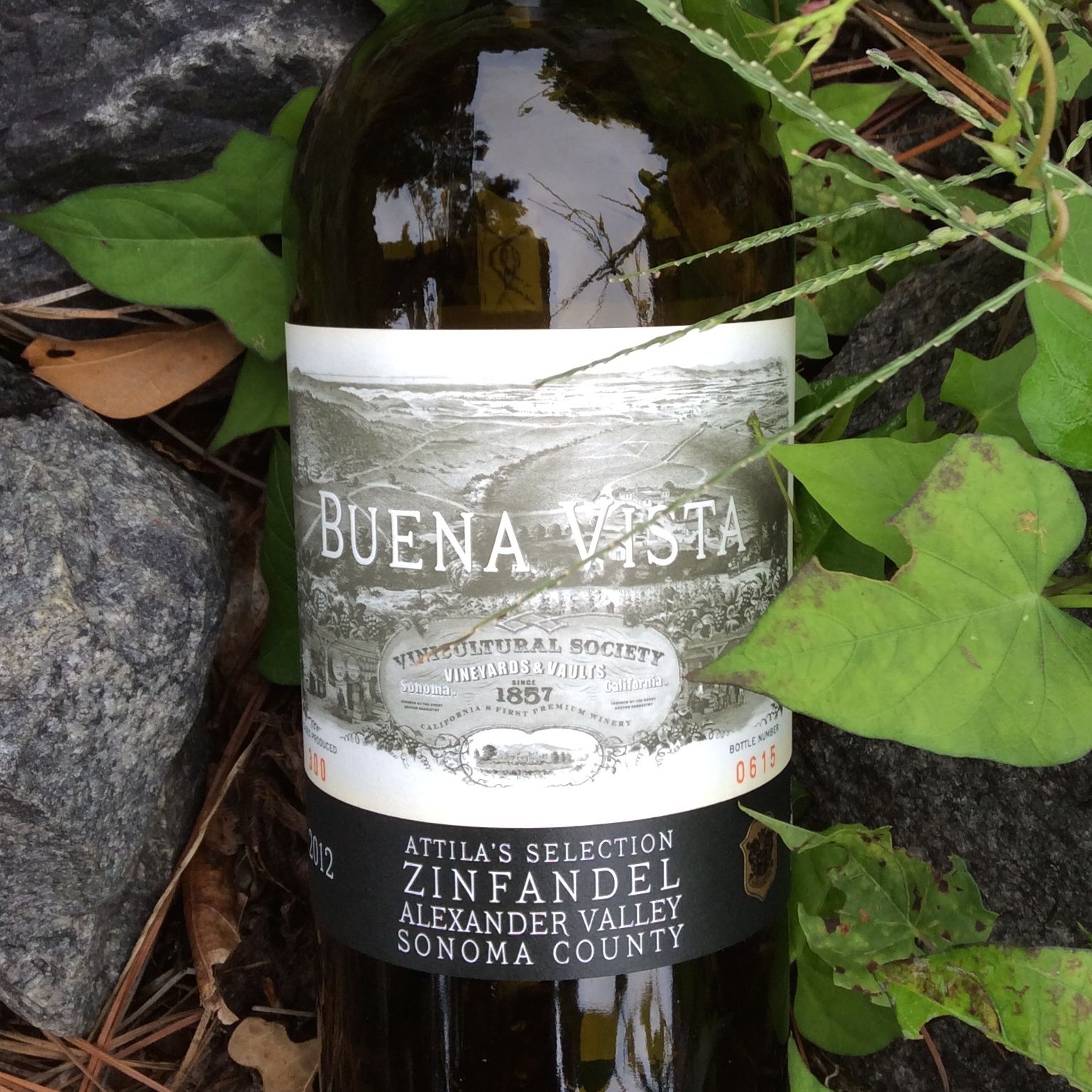 2012 Buena Vista Atilla's Selection Zinfandel, Alexander Valley, Sonoma County, California, USA.