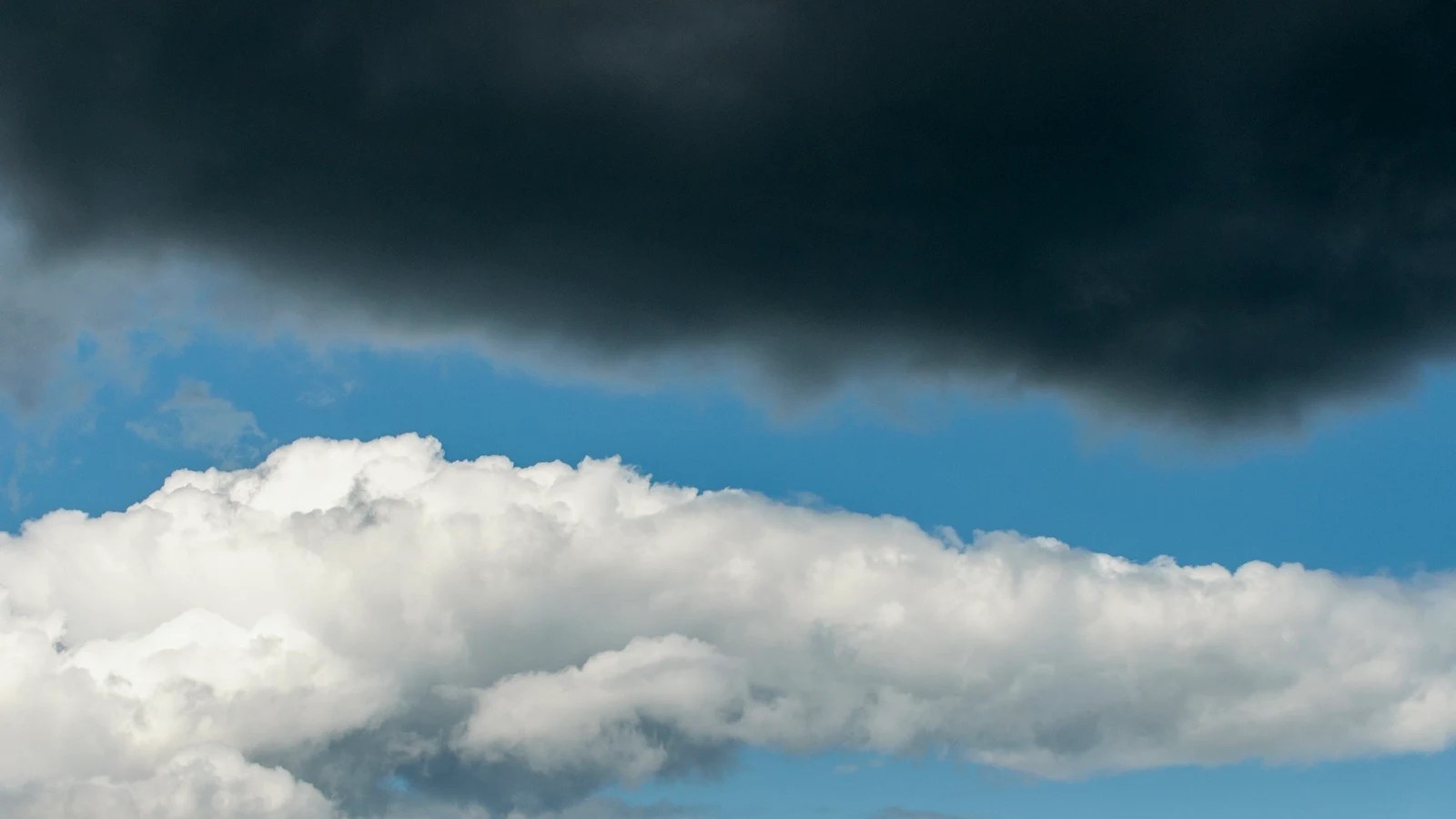 Modelos de IA preveem bem o clima, mas ‘esquecem’ o efeito borboleta, aponta estudo