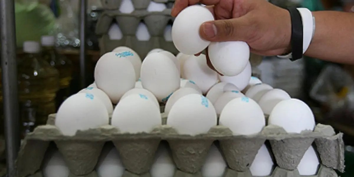 Huevo mexicano registra incremento histórico y presiona economía familiar