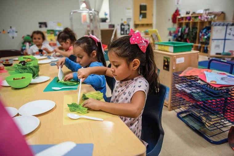 Opciones Gratis de PreKinder