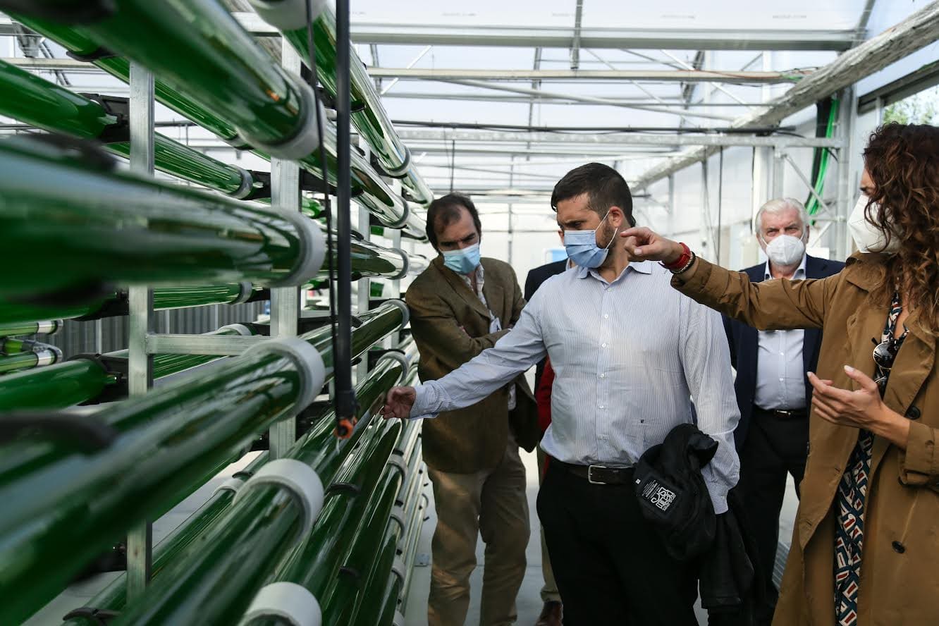 La futura sede de Esmasa usará microalgas para reciclar el aire