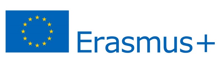 programa erasmus xarxa vives