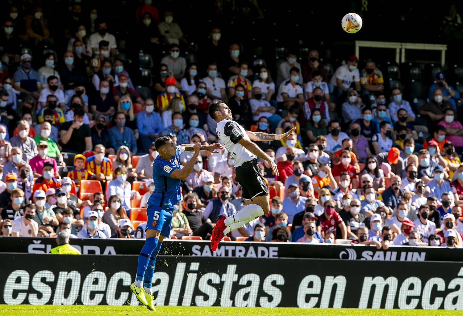valencia-mallorca cronica