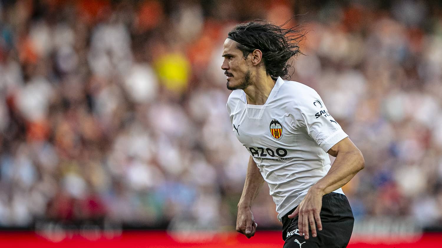 cavani