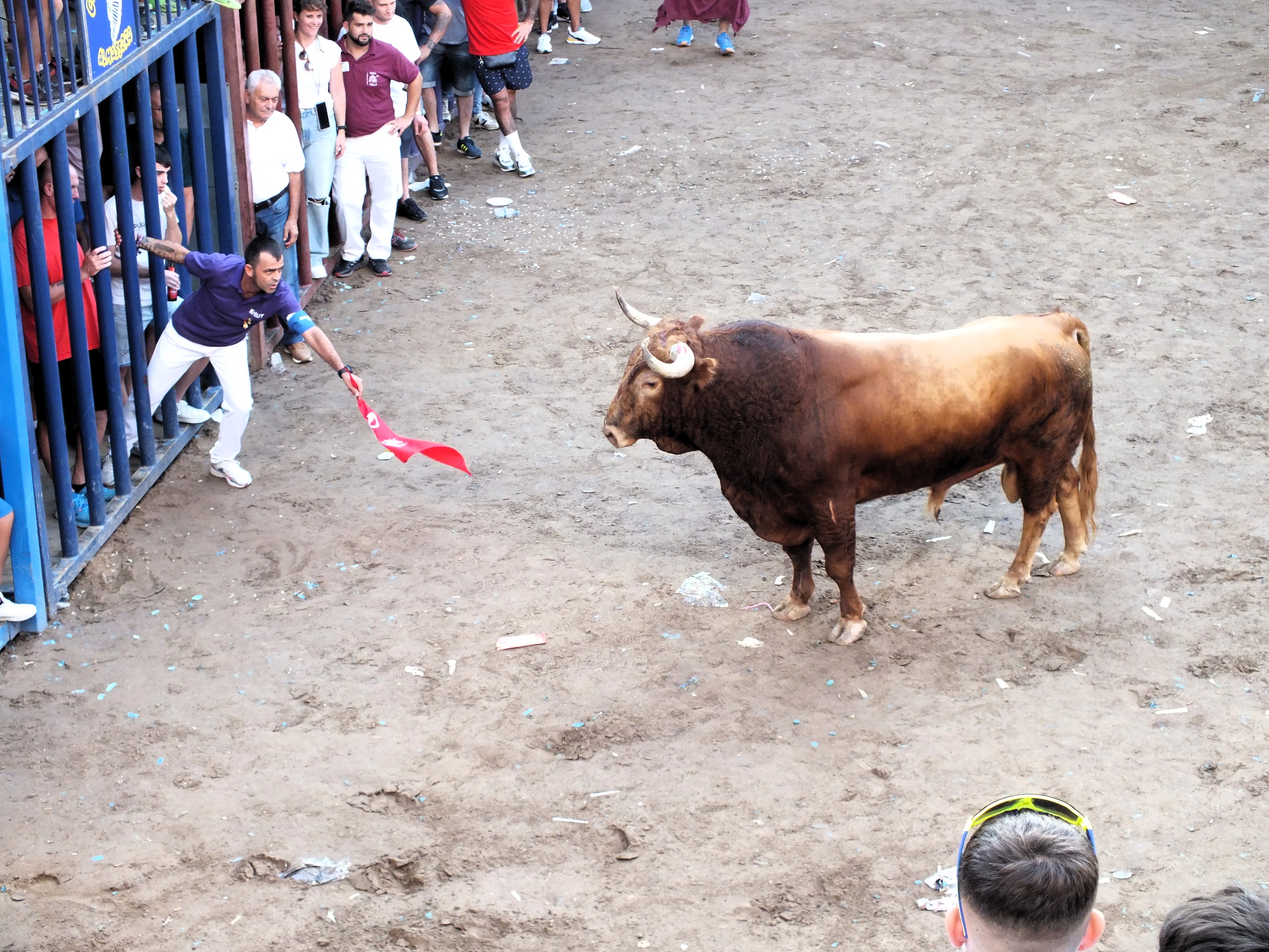 TOROS