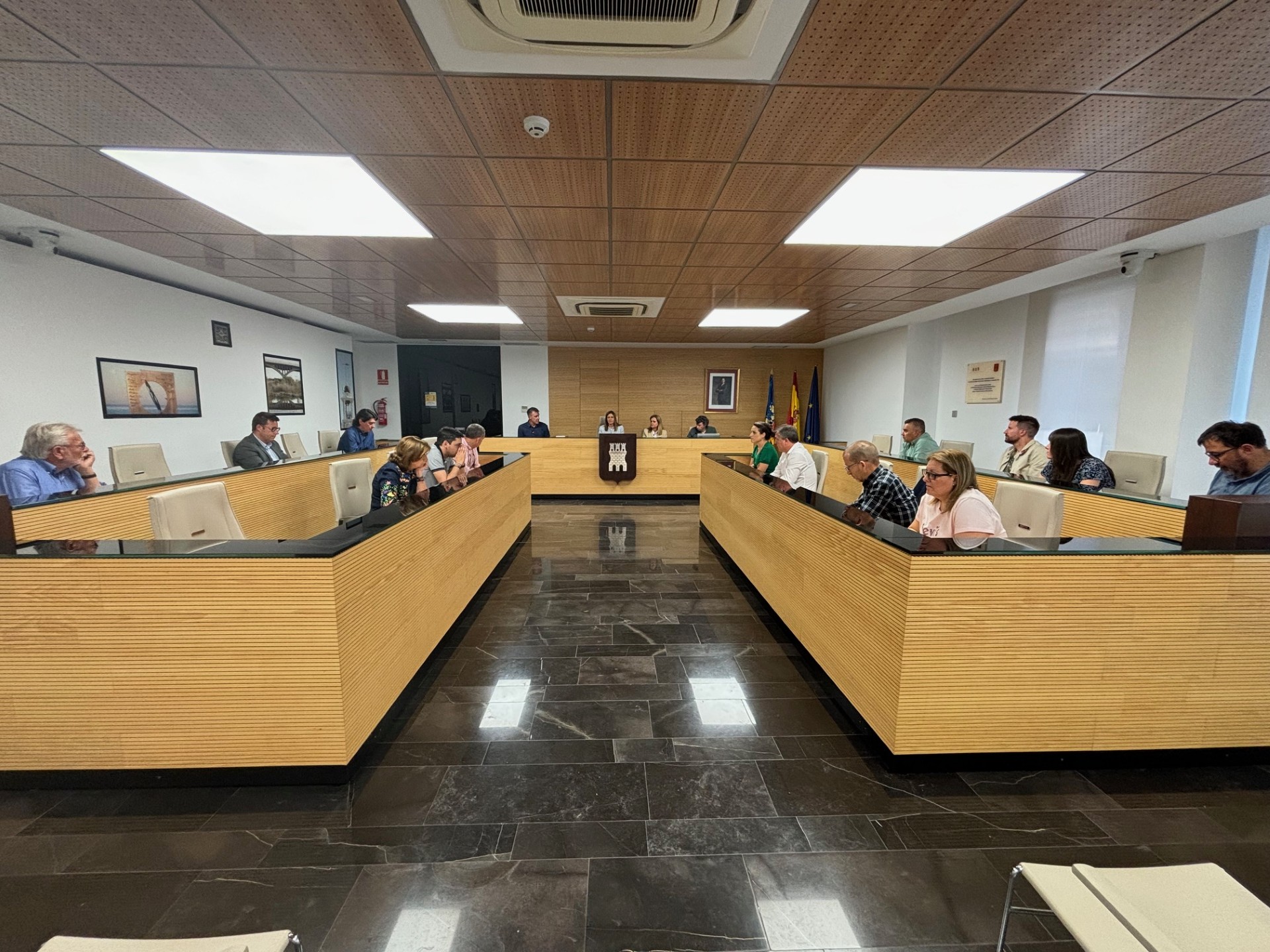 PLENO ELECCIONES