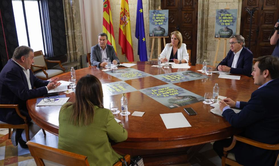 professionals salut mental