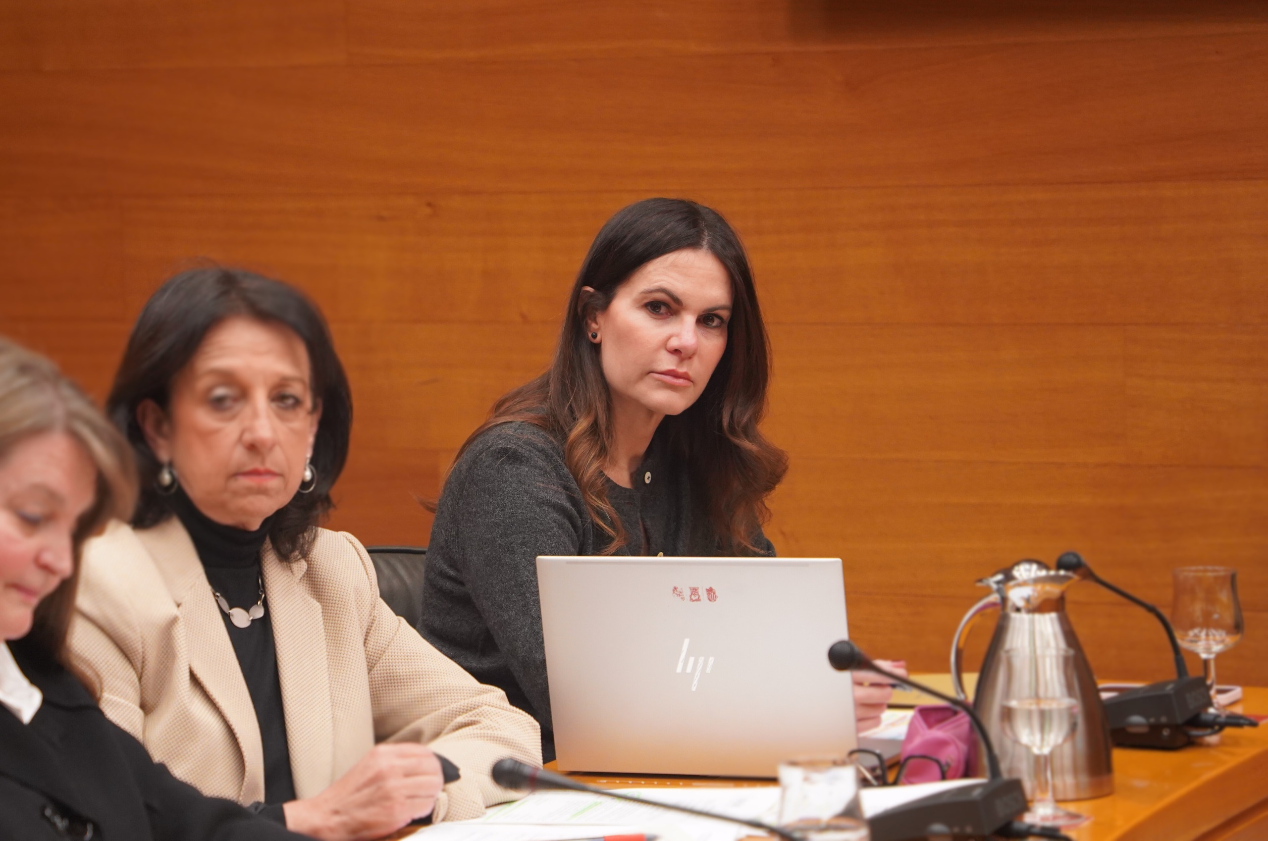 Beatriz Gascó Comisión