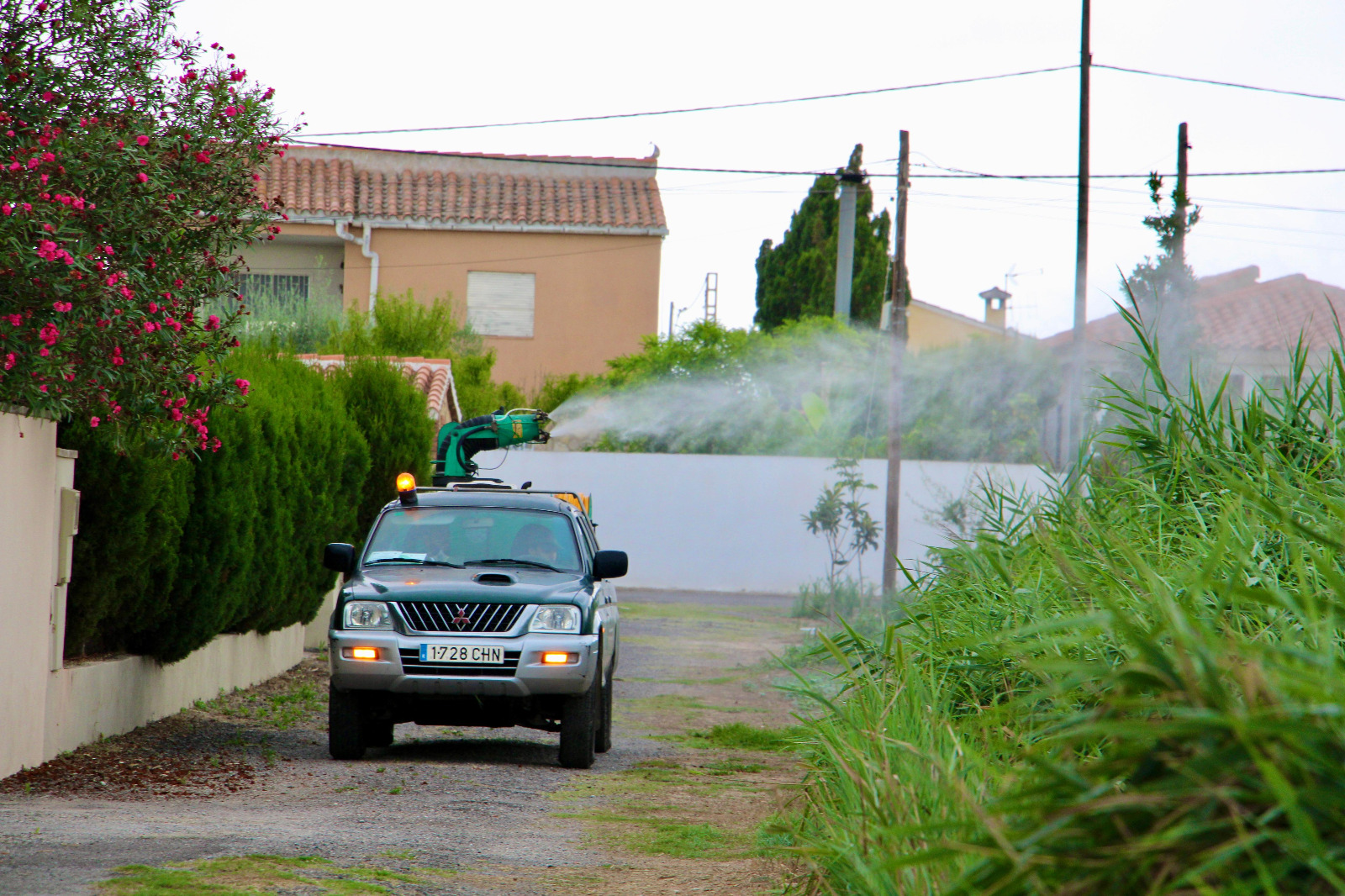 FUMIGACION (2)