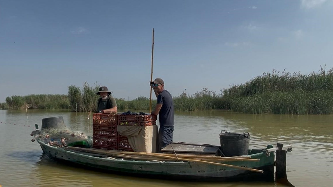 devesa albufera