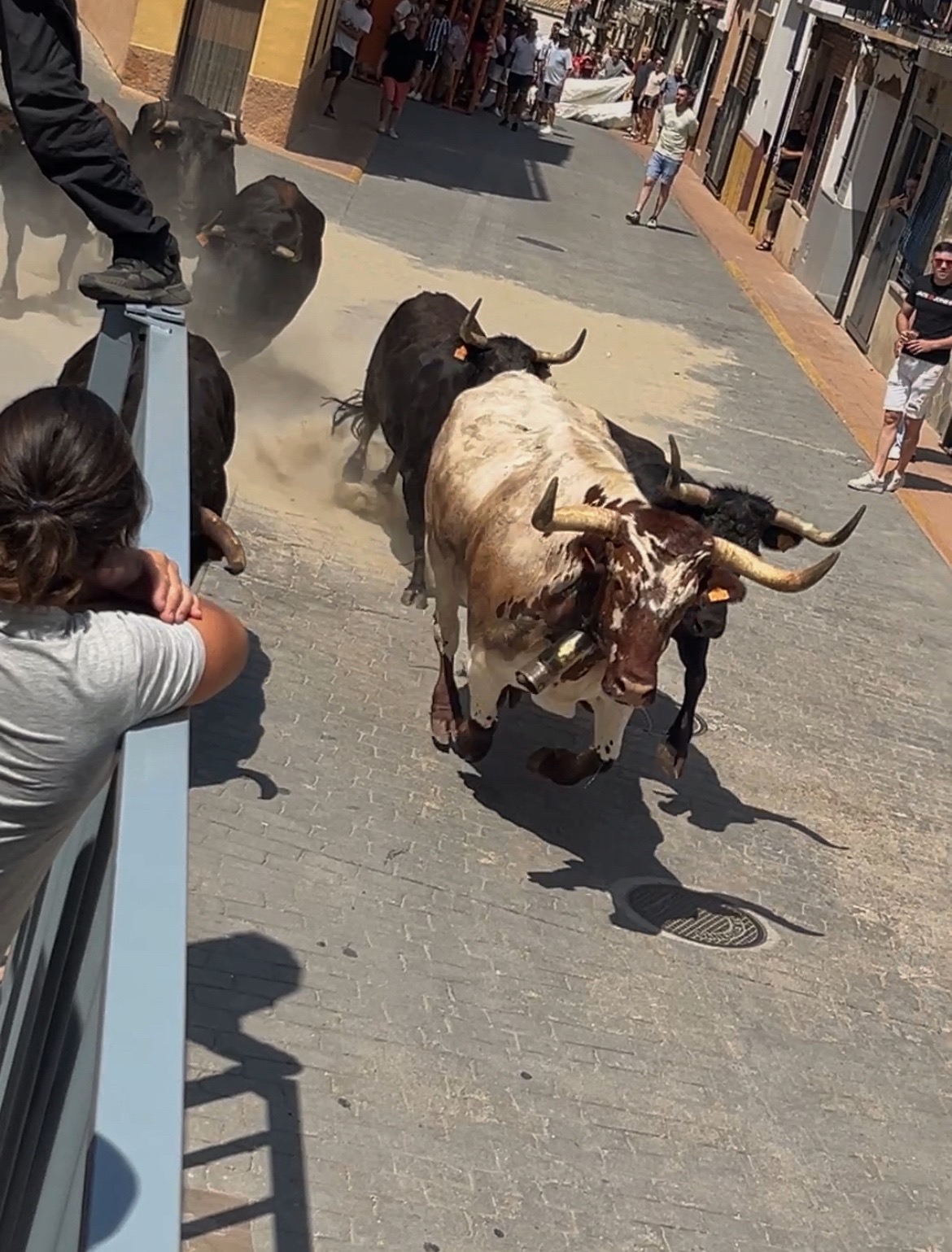 IMG_7572_SnapseedCopy