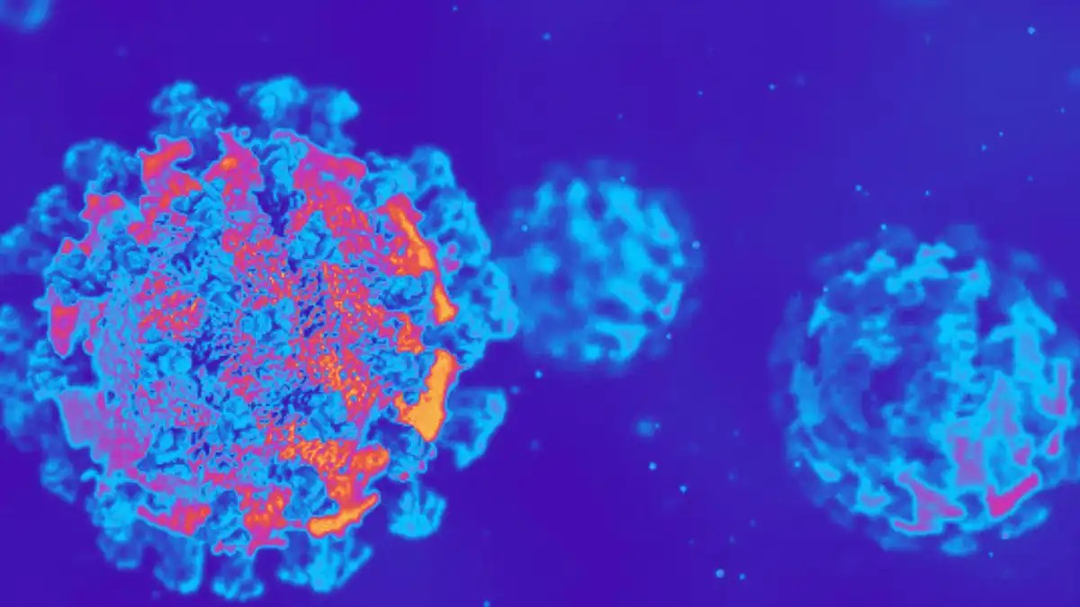 Coronavirus en color simulado.