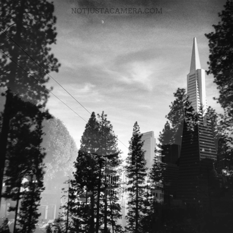 Two impressions © Elisa Posella