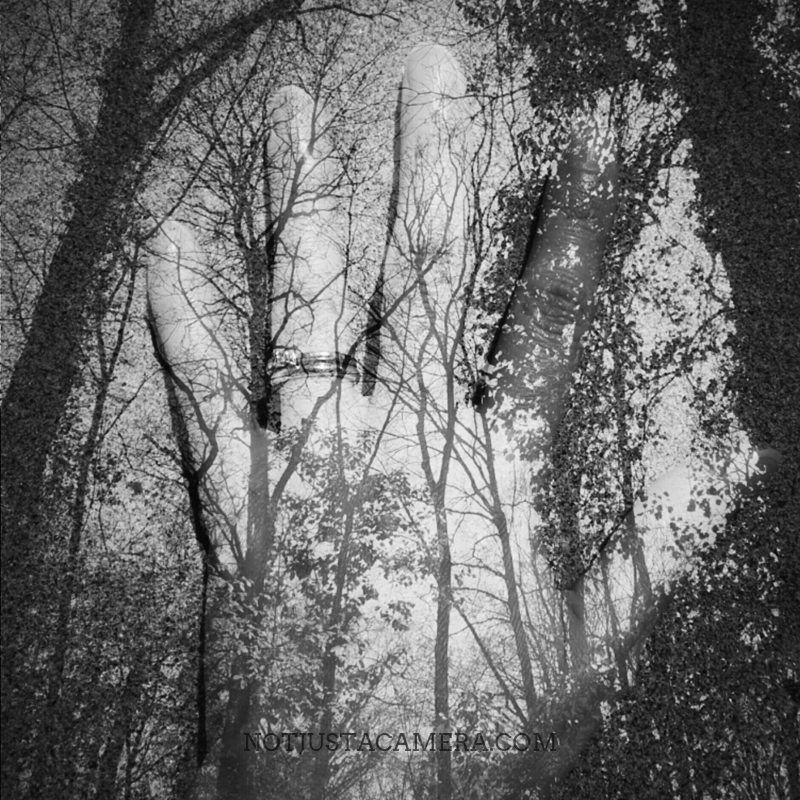 Two impressions © Elisa Posella