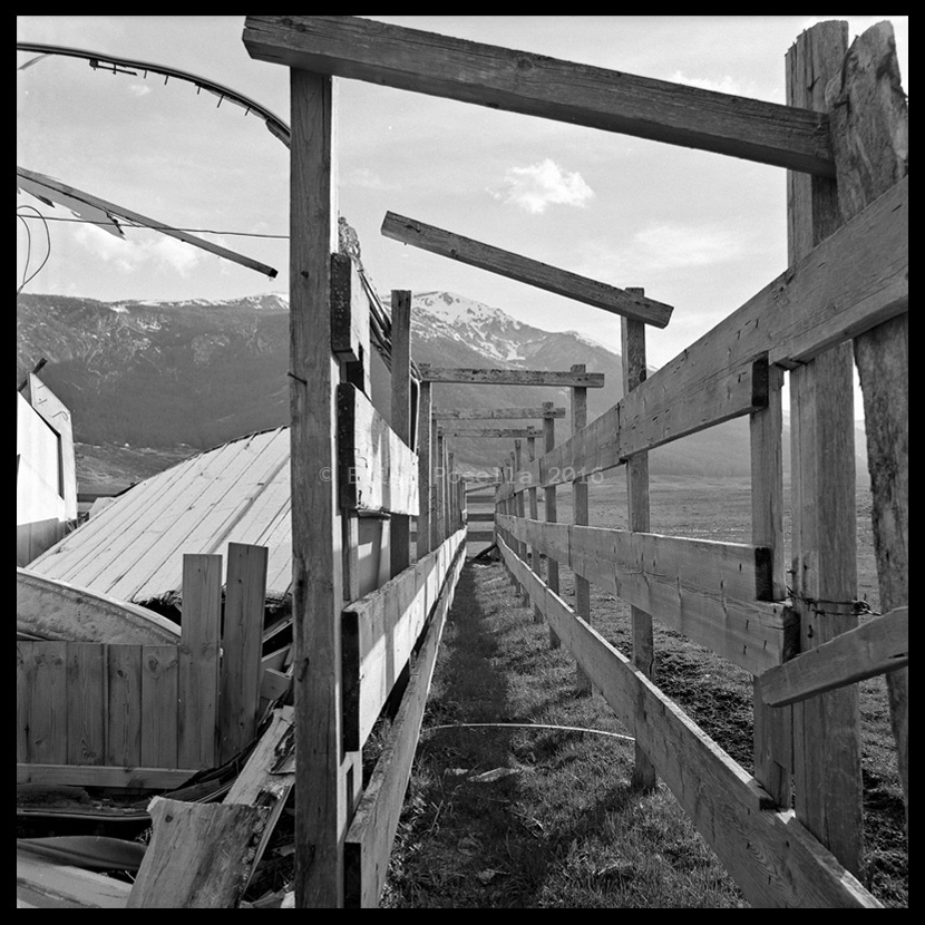 The observer (solitary prisoner) © Elisa Posella