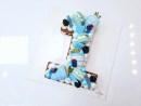 1 Number/Letter cake Coloré